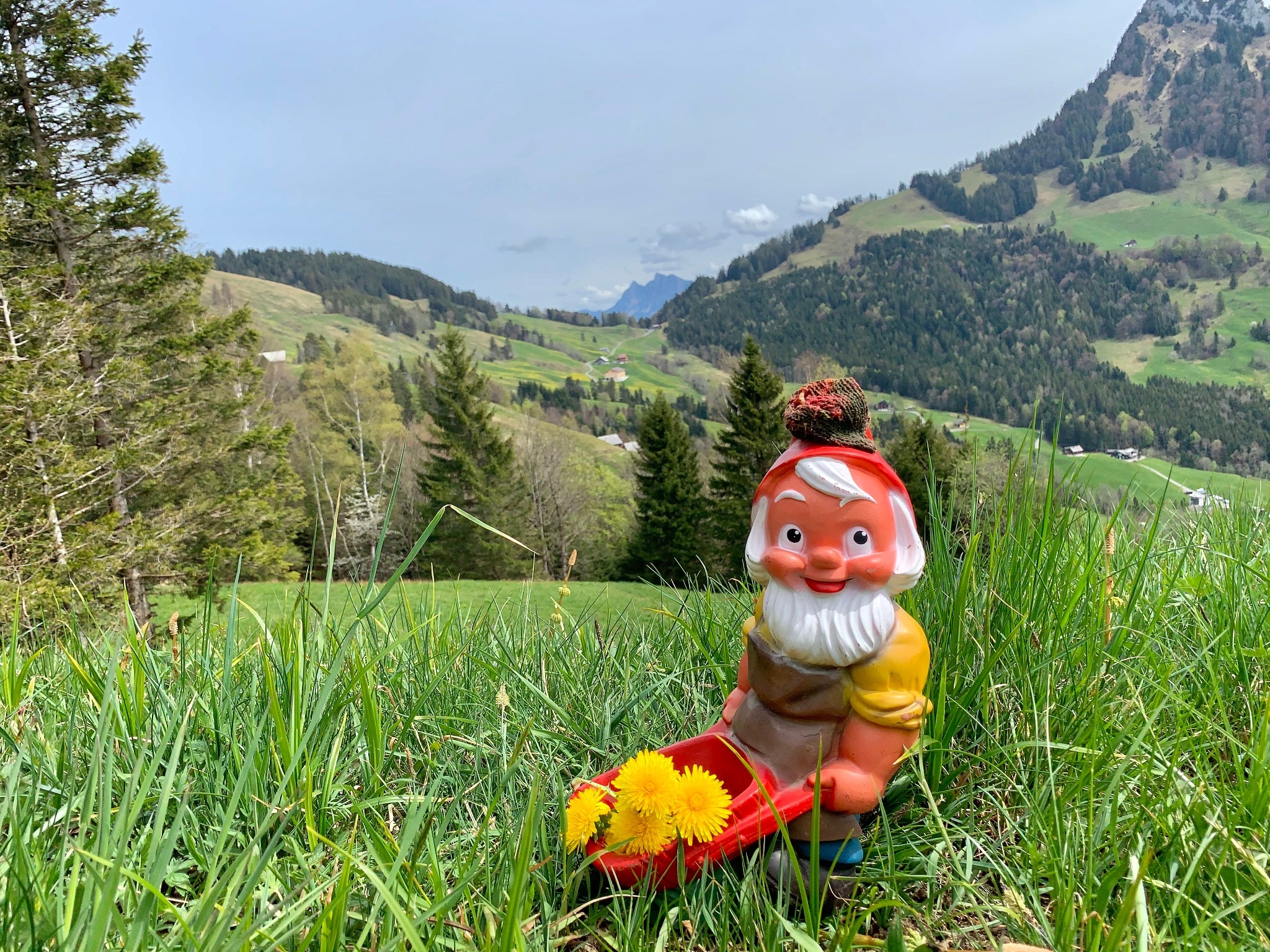 Gnome Trail of Rigi Burggeist, Nature Trail, 2050x1540 HD Desktop