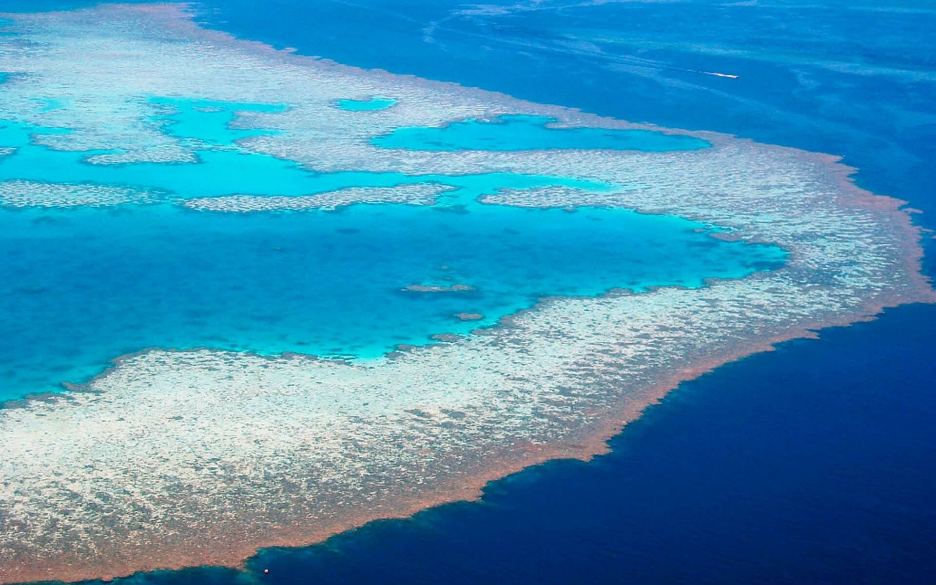 Great Barrier Reef, Coral reef wallpaper, 1920x1200 HD Desktop