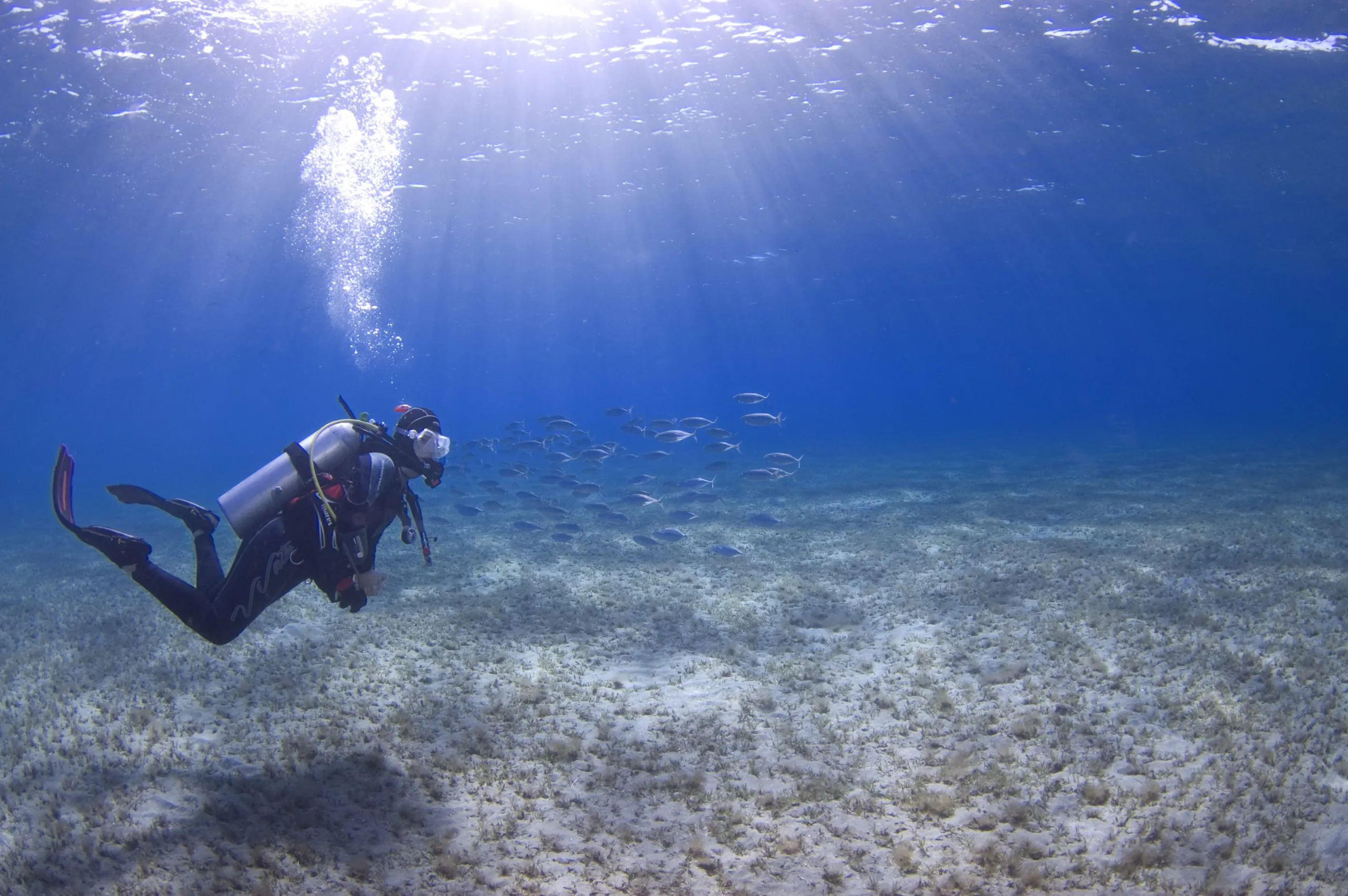 Unusual scuba diving myths, Deep blue dive center, Debunking misconceptions, Underwater adventure, 2560x1710 HD Desktop