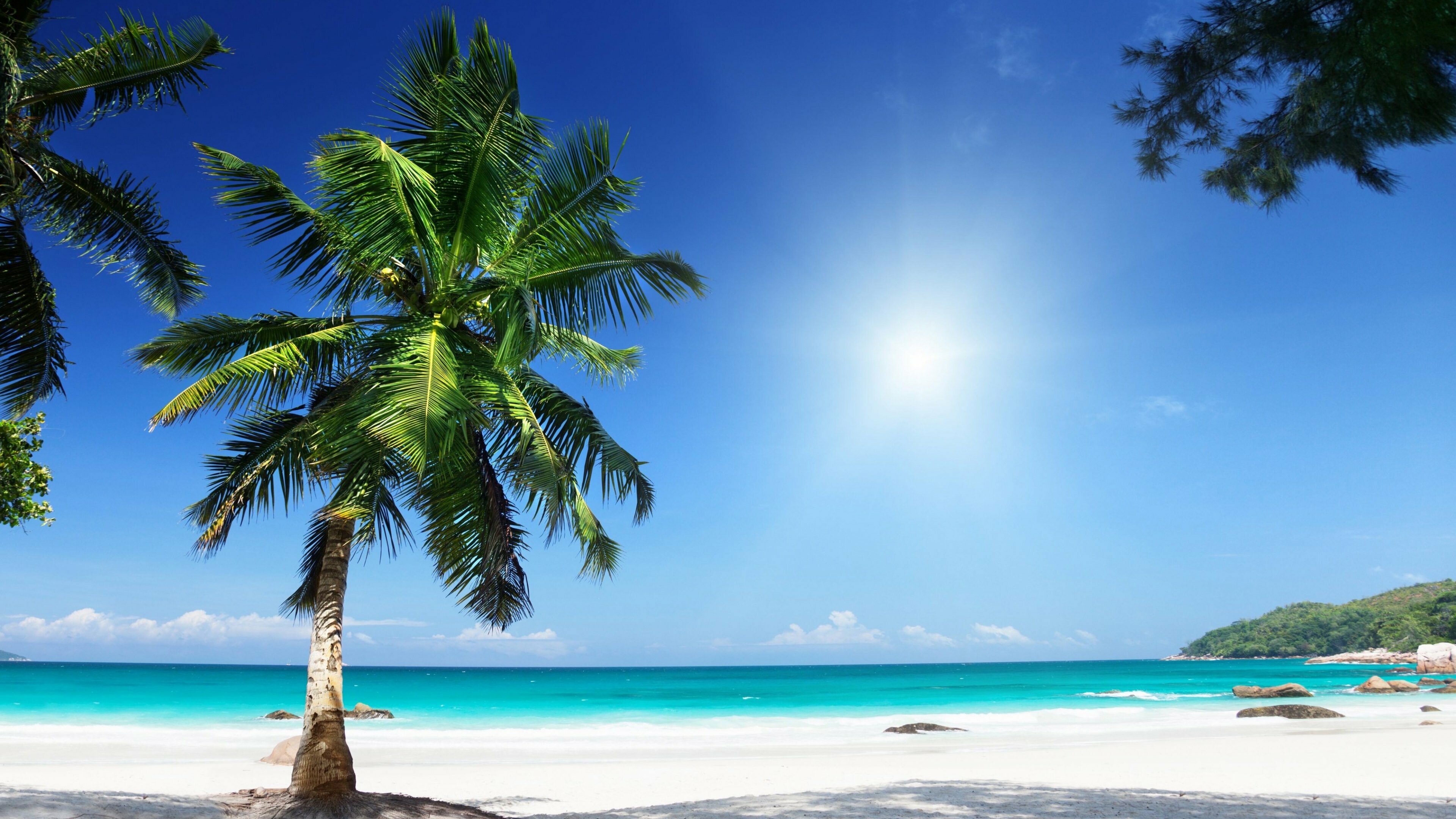 Tropical beach, Palm Trees Wallpaper, 3840x2160 4K Desktop