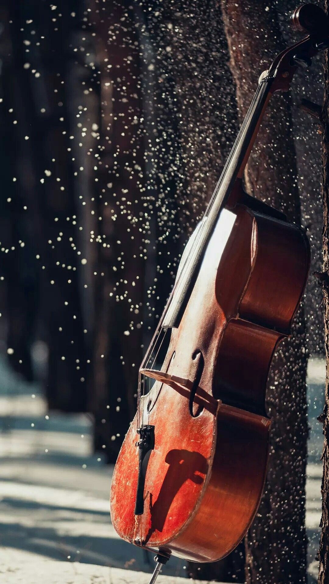 Forgotten cello in forest, Musical solitude, Enchanted melodies, Nature's symphony, 1080x1920 Full HD Phone