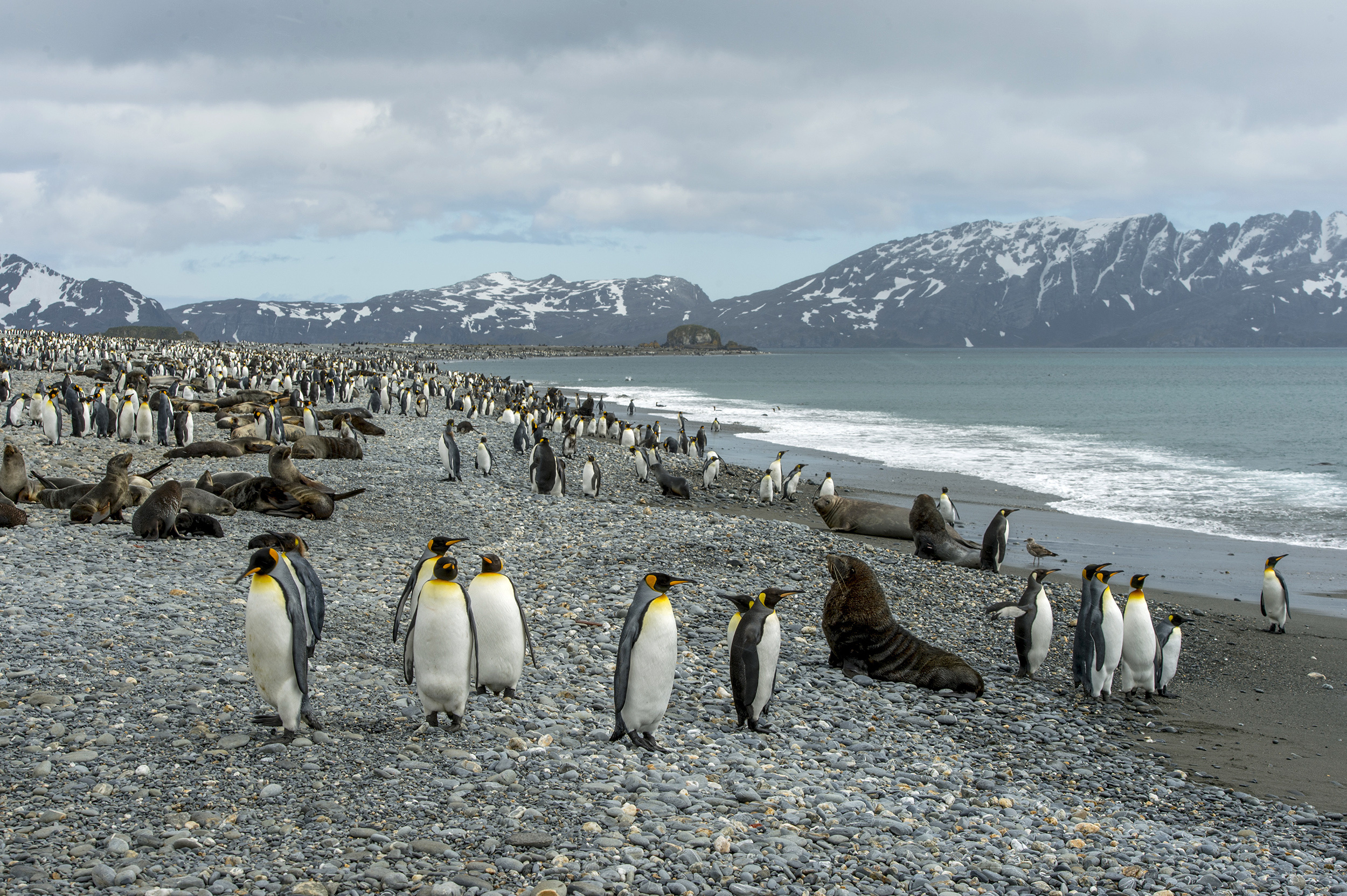 South Sandwich Islands, Tsunami mystery, Remote location, Unveiling secrets, 2500x1670 HD Desktop