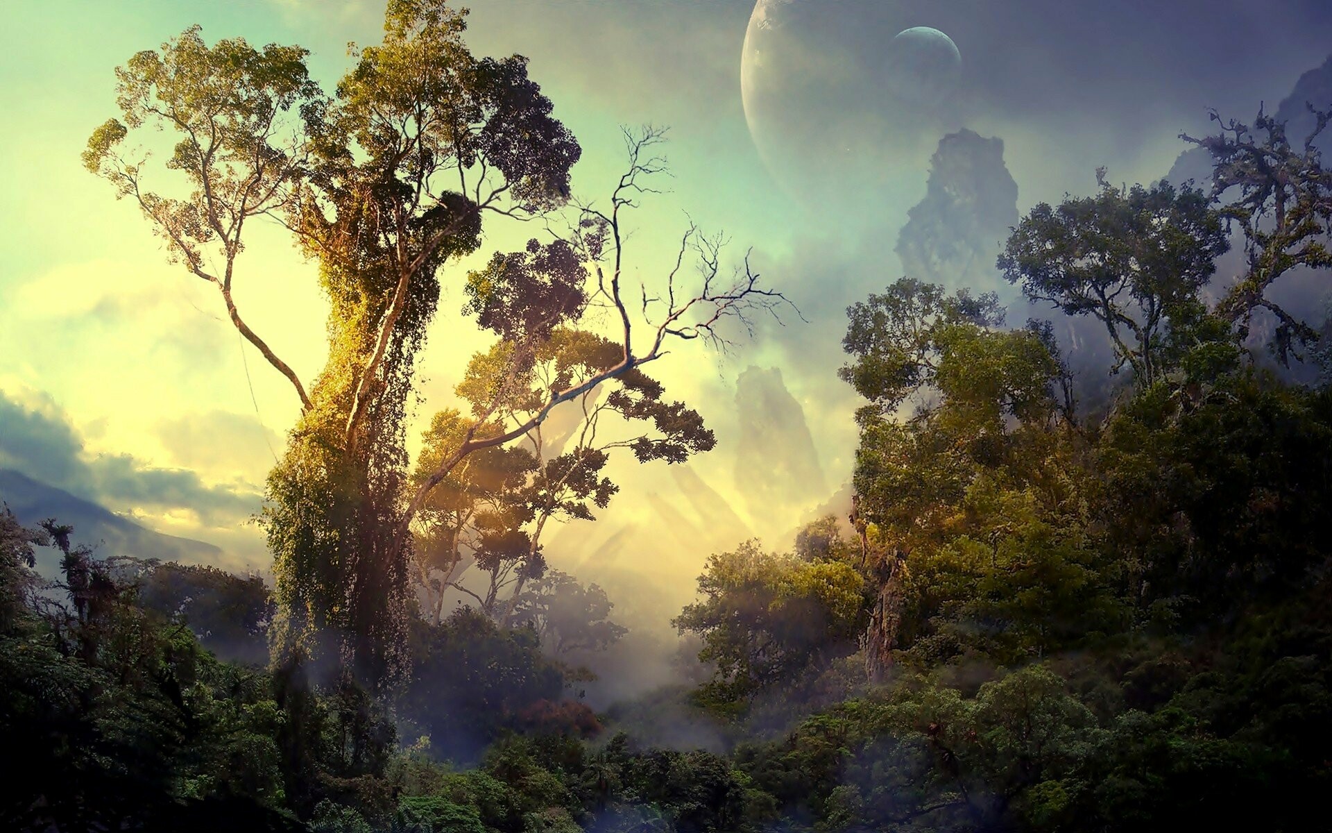 Rainforest sanctuary, Serene landscapes, Nature's retreat, Digital delight, 1920x1200 HD Desktop