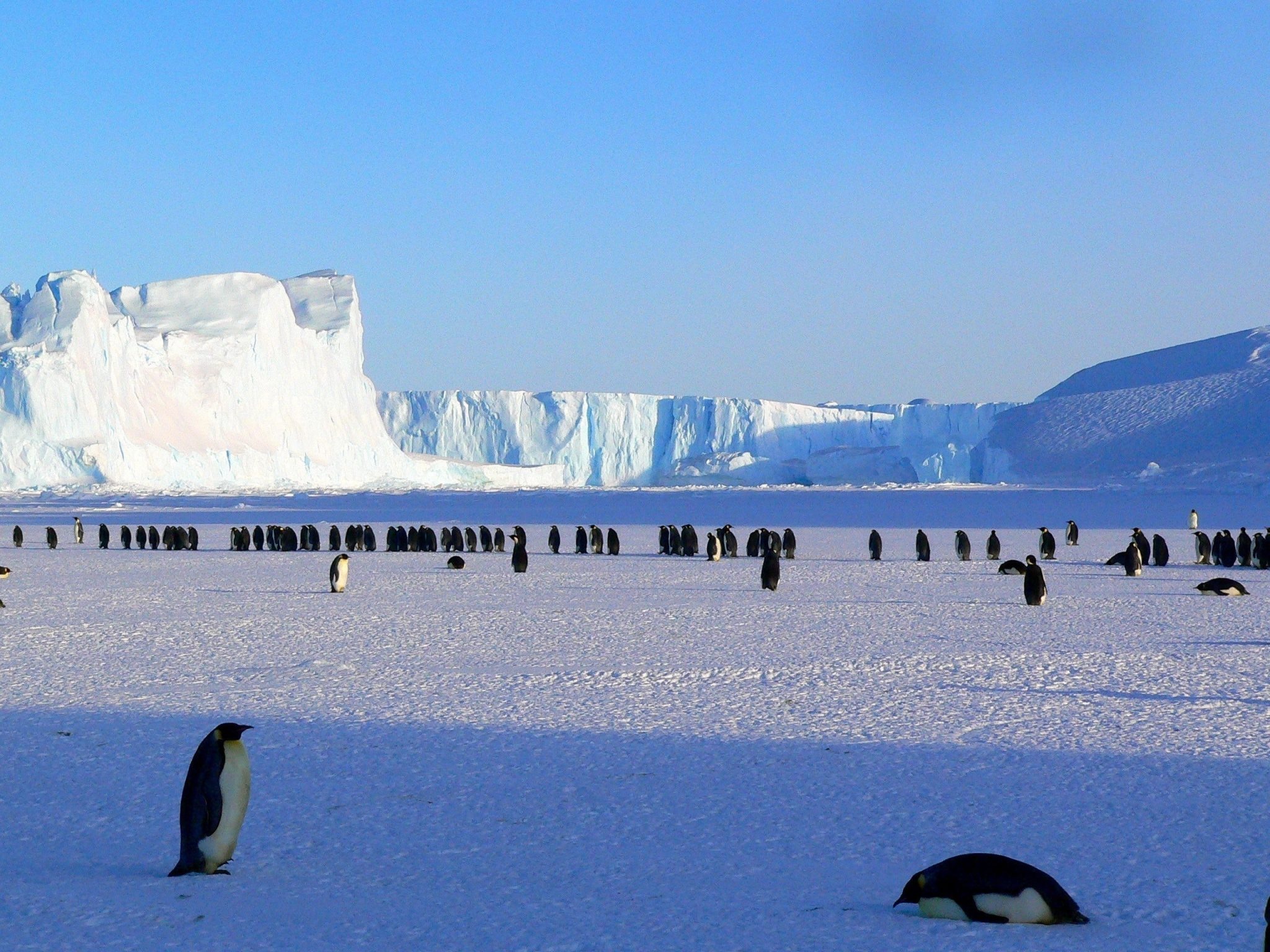 Solo travel, Girl about the Globe, Adventure in Antarctica, 2050x1540 HD Desktop