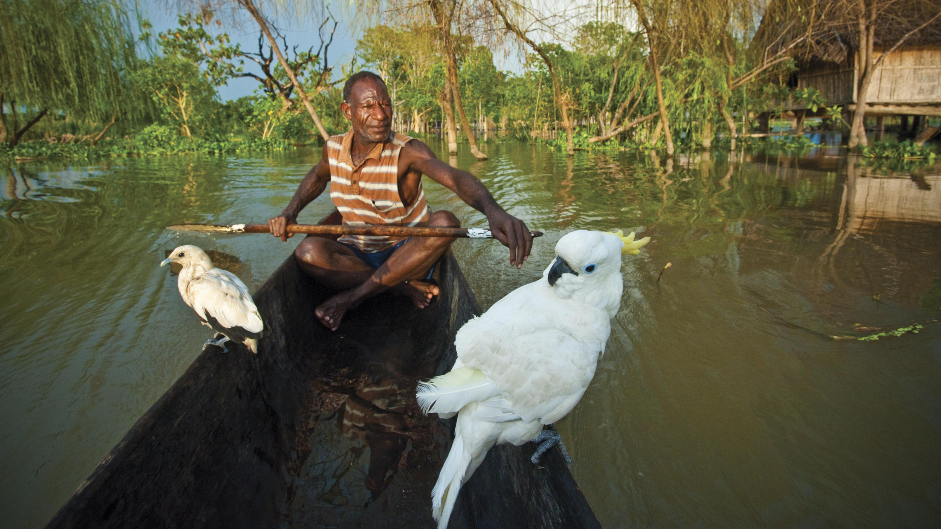 The Sepik River, Travels, Papua New Guinea, Cultural immersion, 1920x1080 Full HD Desktop