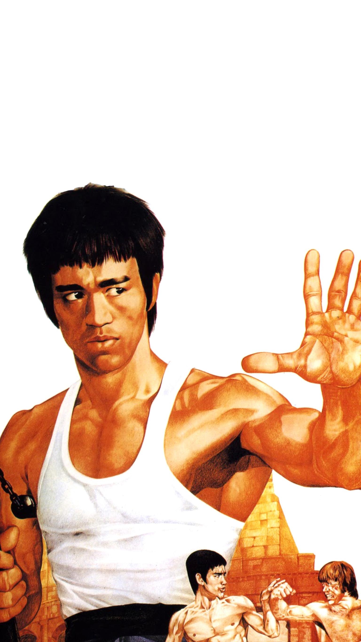 The Way of the Dragon, Bruce Lee, Enter the Dragon wallpaper, Iconic image, 1540x2740 HD Phone