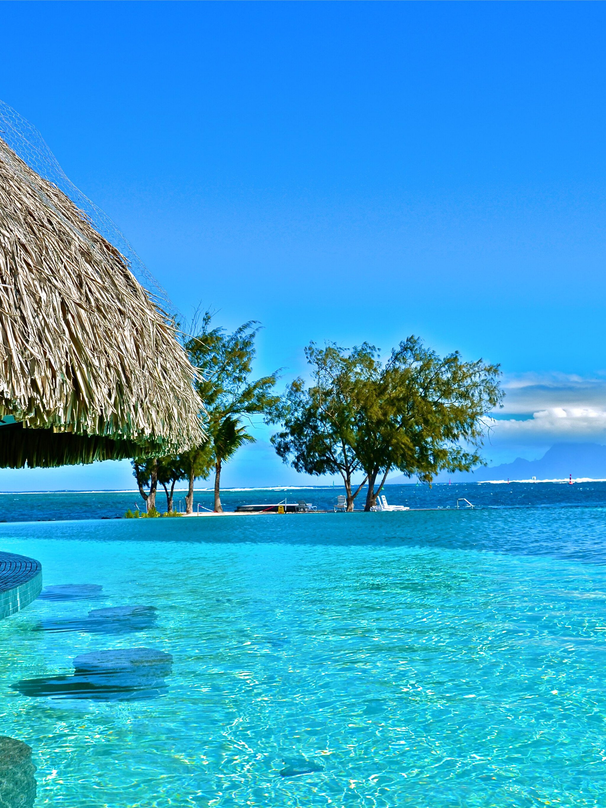 Tahiti pool wallpaper, High-quality backgrounds, Exotic destination, Relaxing vacation, 2050x2740 HD Phone