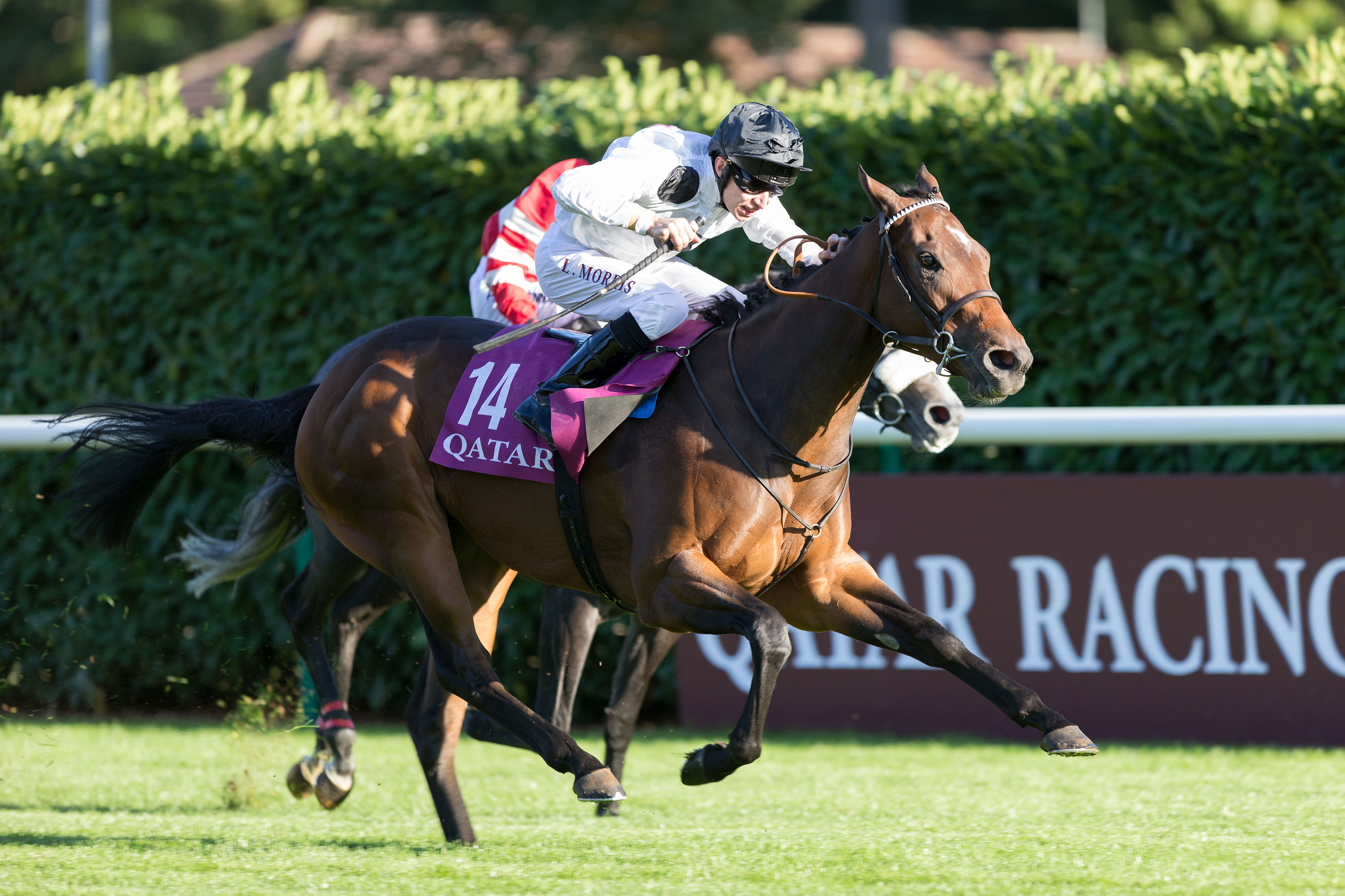 Prix de l'Arc de Triomphe, Horse Racing Wallpaper, 3000x2000 HD Desktop