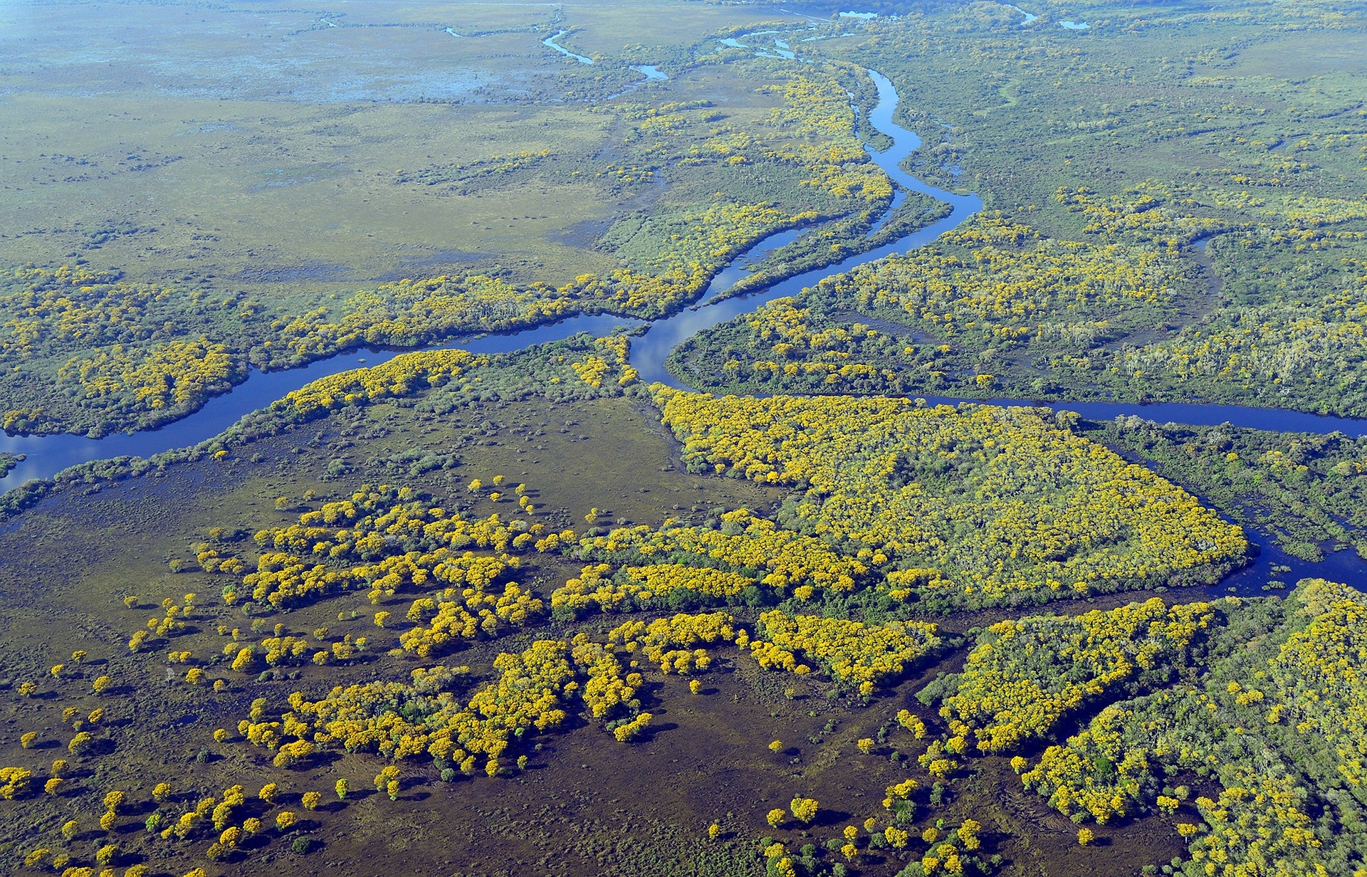 Pantanal Matogrossense, Naturschutzgebiet, Travels, Attractions, 1920x1240 HD Desktop