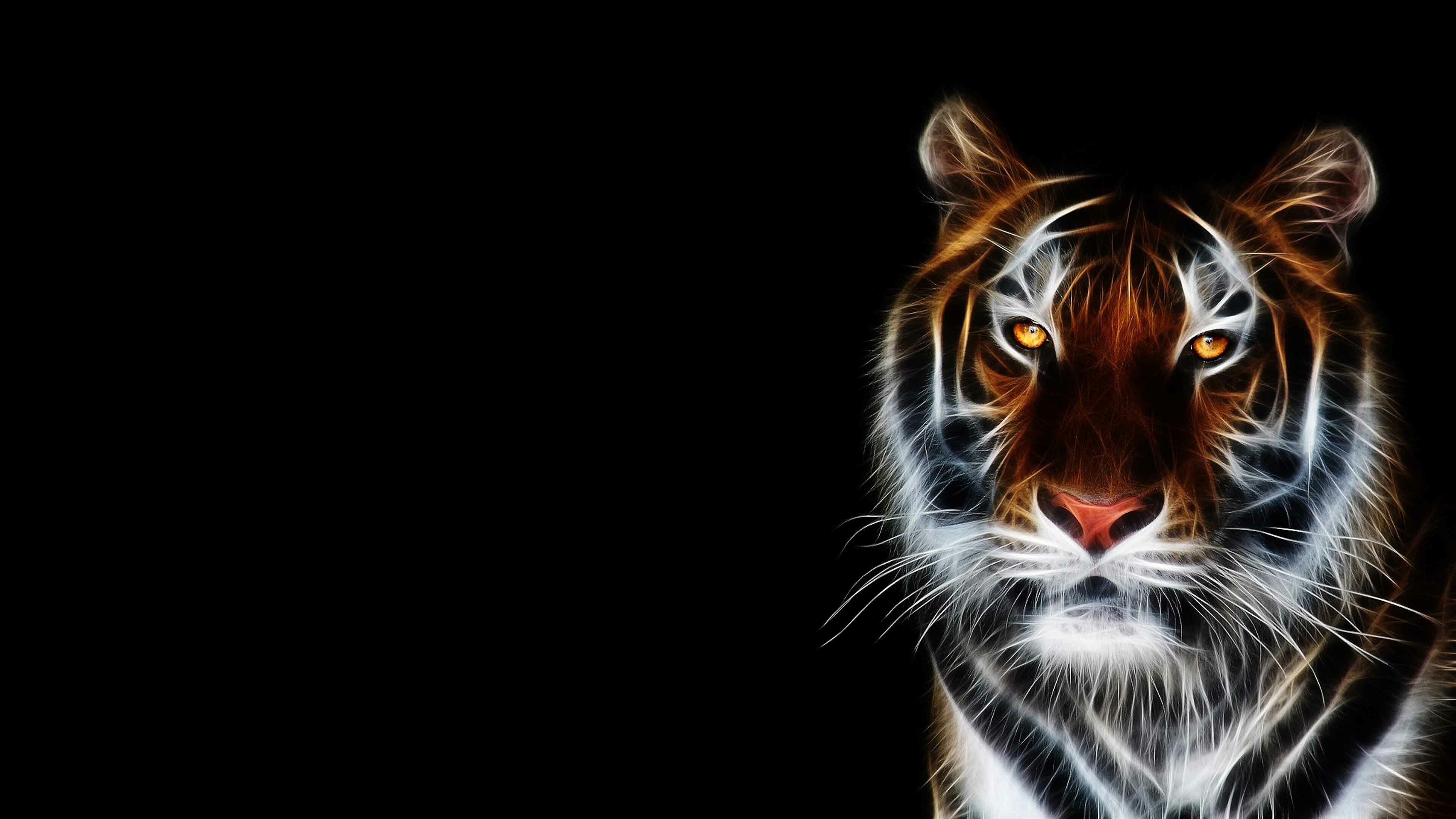 3D tiger wallpaper, HD delight, Captivating imagery, Striking animal, 3840x2160 4K Desktop