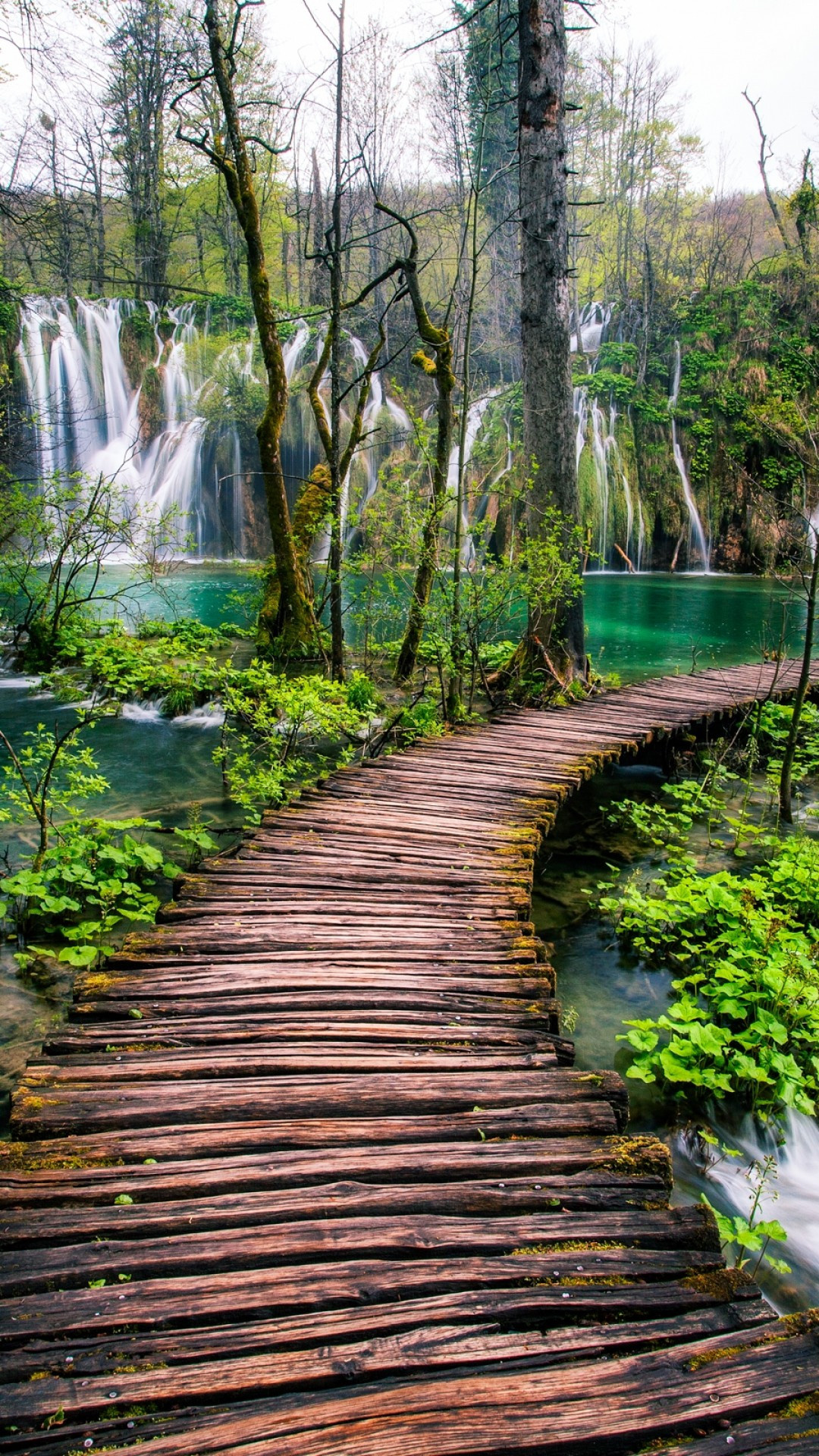 Plitvice lakes, Waterfalls, Trees, Wood bridge, 1080x1920 Full HD Phone