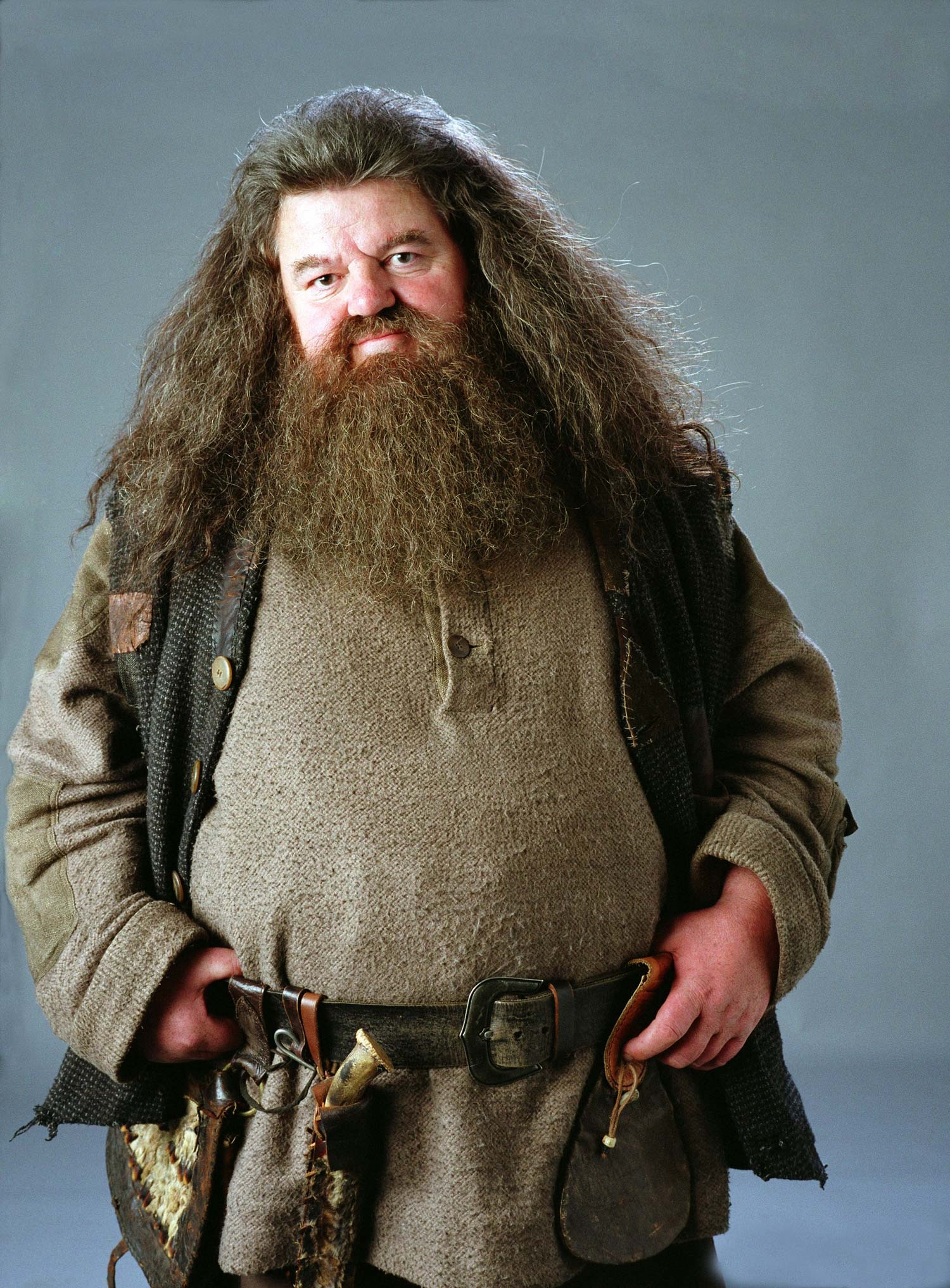 Hagrid, Hogwarts groundskeeper, Enchanted umbrella, Caring protector, 1500x2040 HD Phone