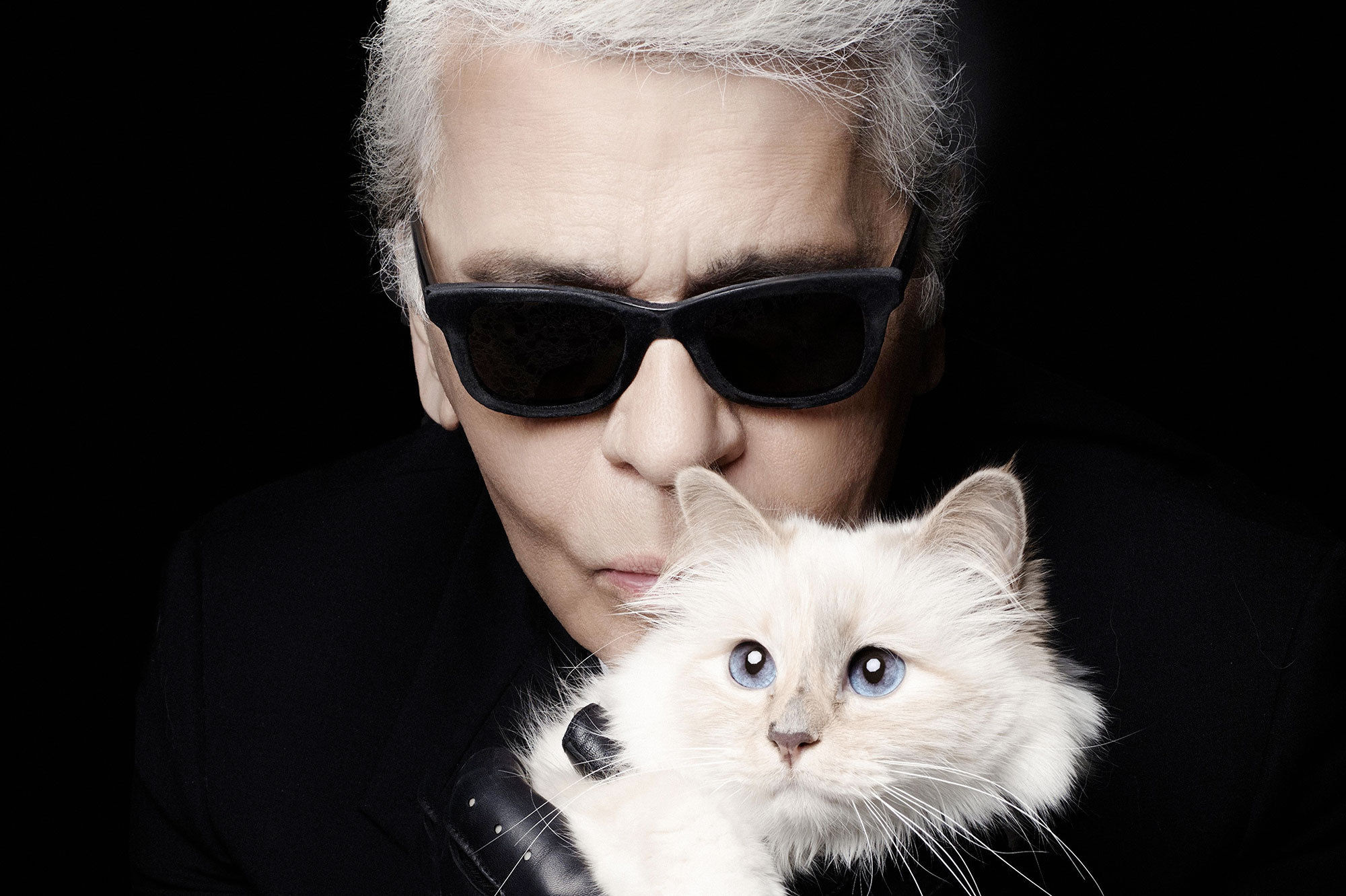 Karl Lagerfeld, Choupette (Cat) Wallpaper, 2000x1340 HD Desktop