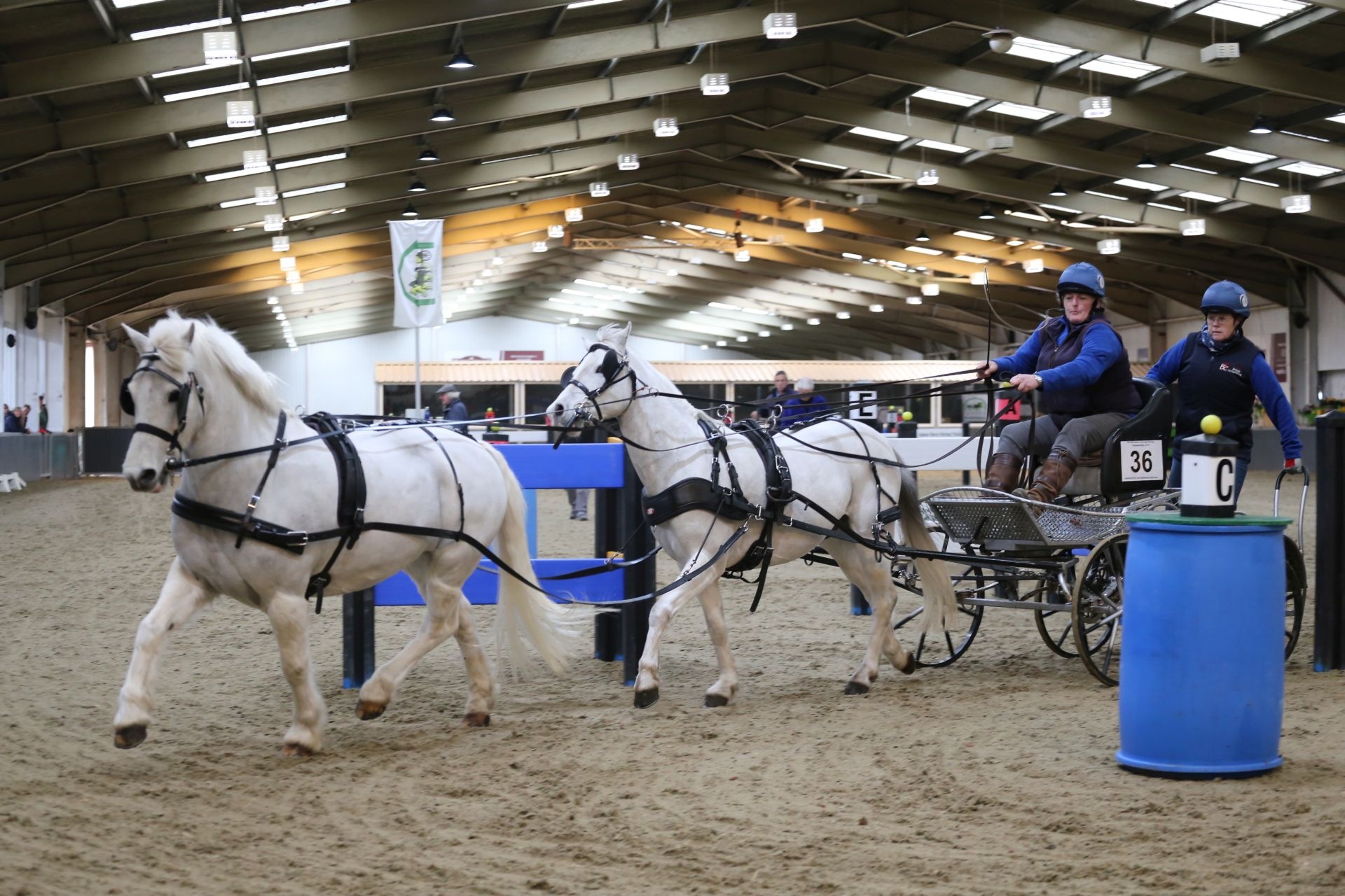 Indoor Carriage Driving UK, Carriage Driving Wallpaper, 1920x1280 HD Desktop