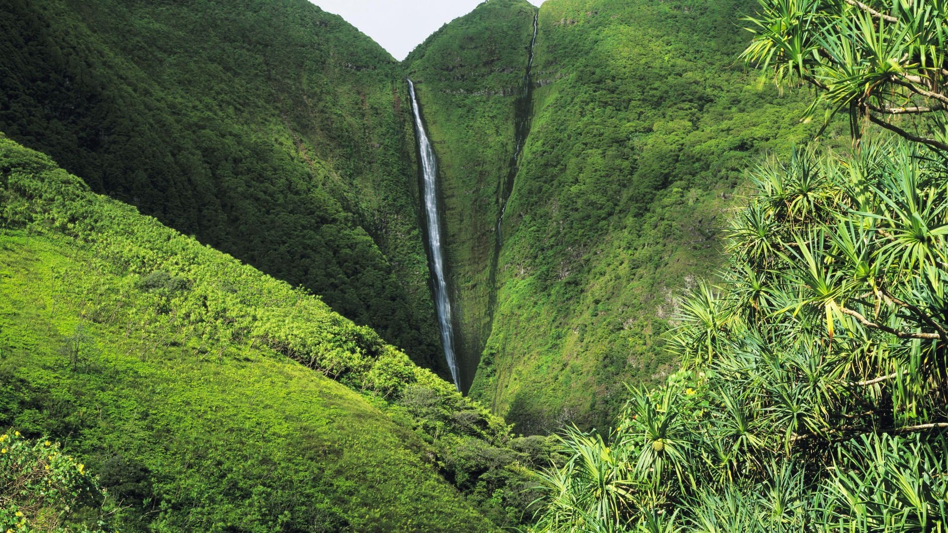 Molokai Island, Molokai wallpapers, Top free, Molokai backgrounds, 1920x1080 Full HD Desktop