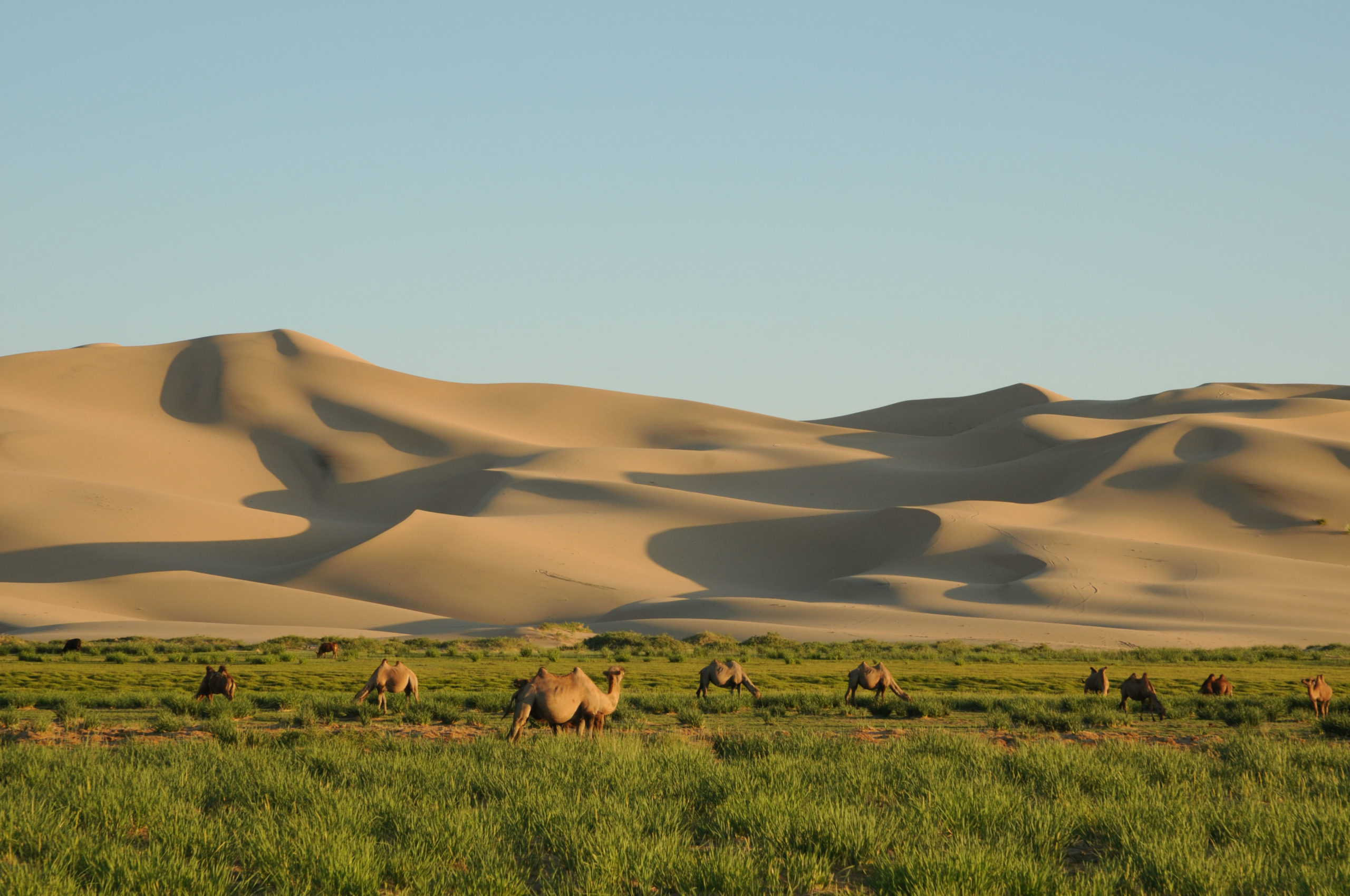 Gurvansaikhan National Park, Gobi Desert Wallpaper, 2560x1700 HD Desktop