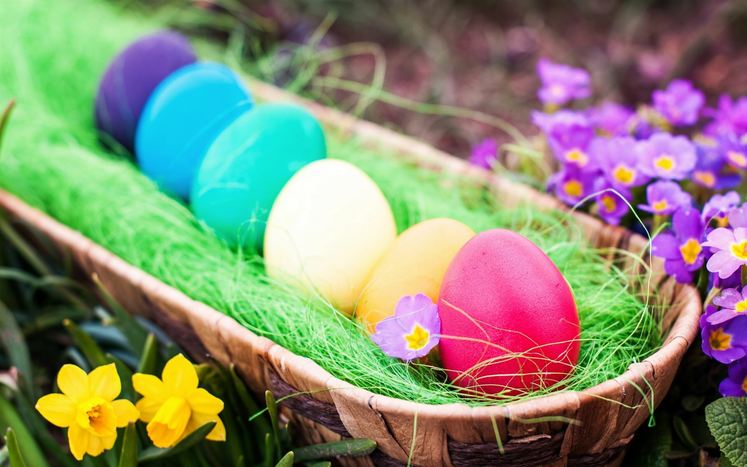 Best Easter wallpapers, HD quality, Festive celebration, Joyful moments, 2560x1600 HD Desktop