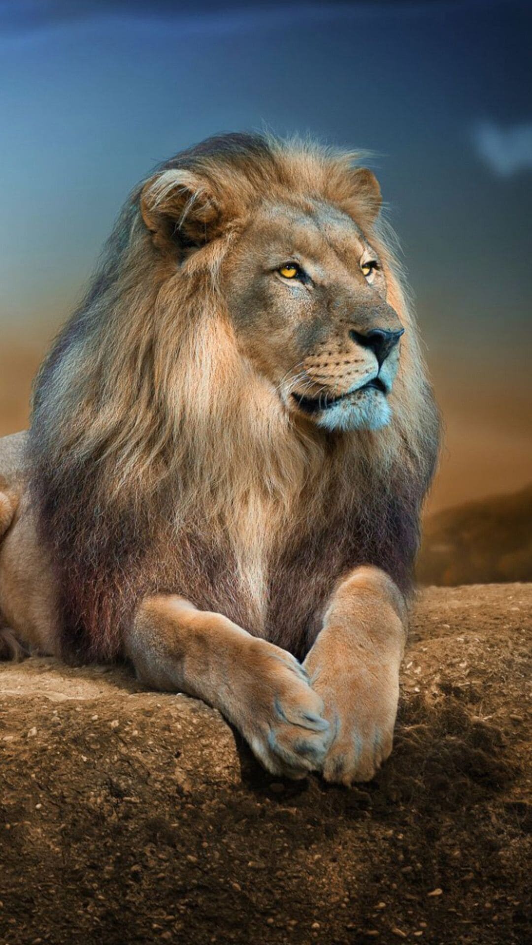 Lion wallpaper 4K, High definition, Detailed imagery, Exquisite details, 1080x1920 Full HD Phone