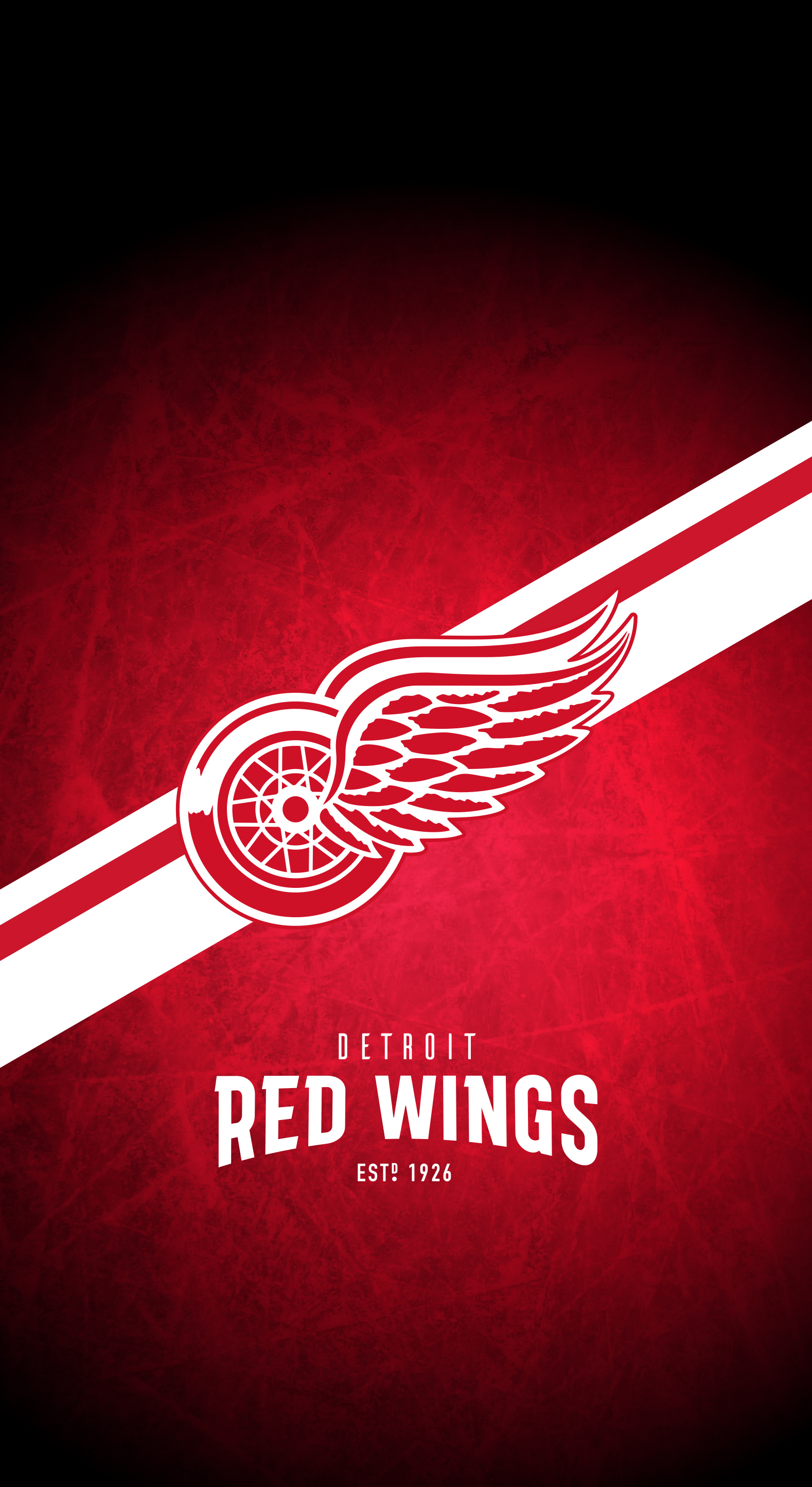 Detroit Red Wings, NHL lock screen, Hockey pride, Team loyalty, 1580x2890 HD Phone