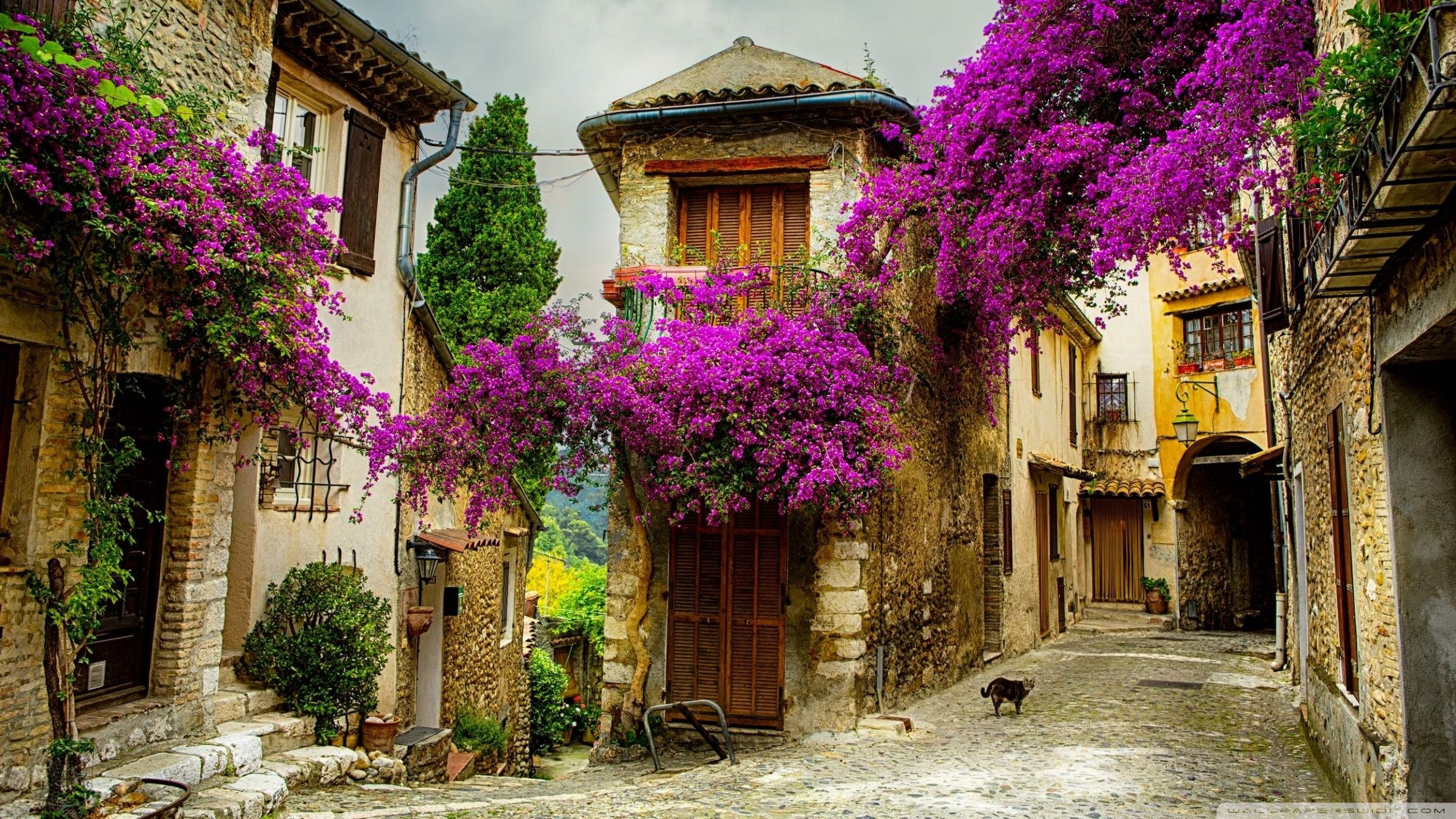 Provence, Europe Wallpaper, 2400x1350 HD Desktop