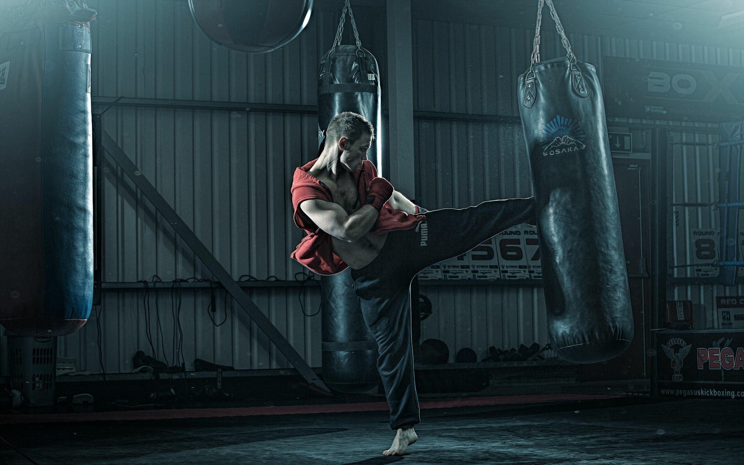 Kickboxing, Martial Art Wallpaper, 2560x1600 HD Desktop