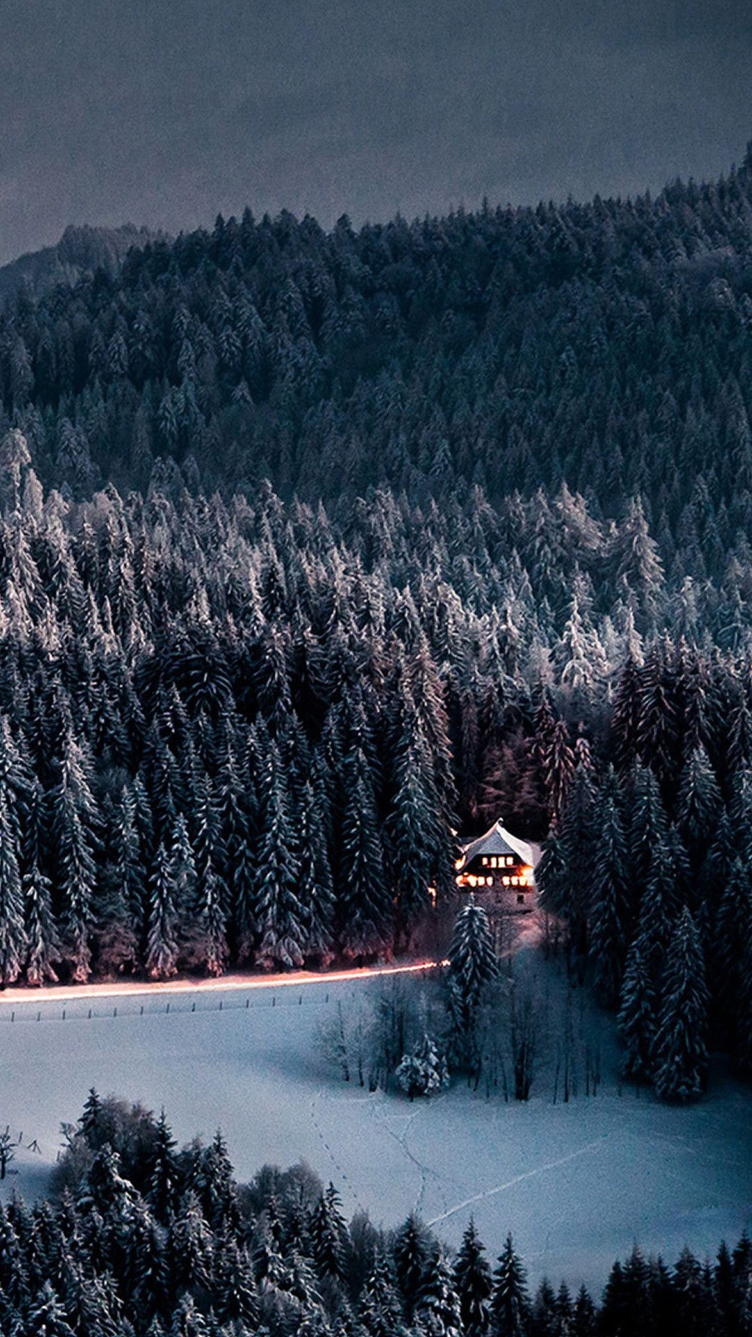 Winter forest, Spruce trees, Snowy landscape, Nature, 1080x1920 Full HD Phone