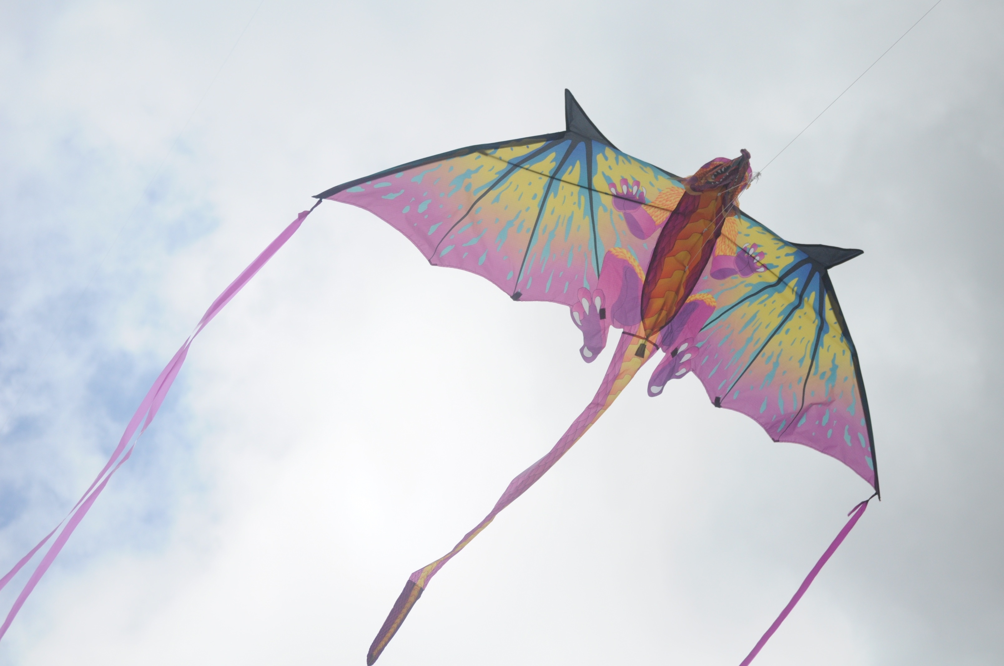 Dragon kite, Kite Sports Wallpaper, 3220x2140 HD Desktop