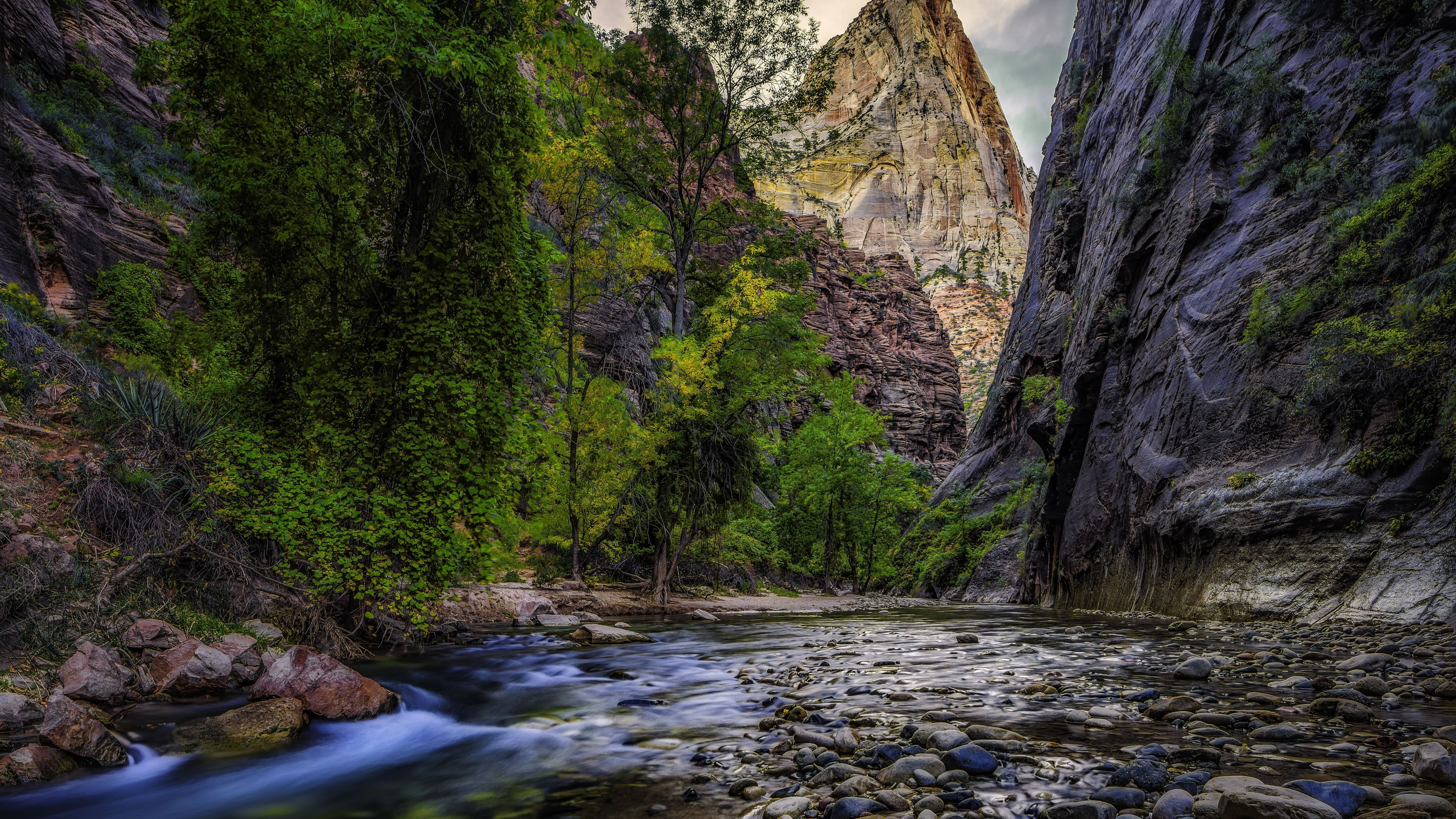 Stream Trees, Stones Mountain, UHD TV, 3840x2160 4K Desktop