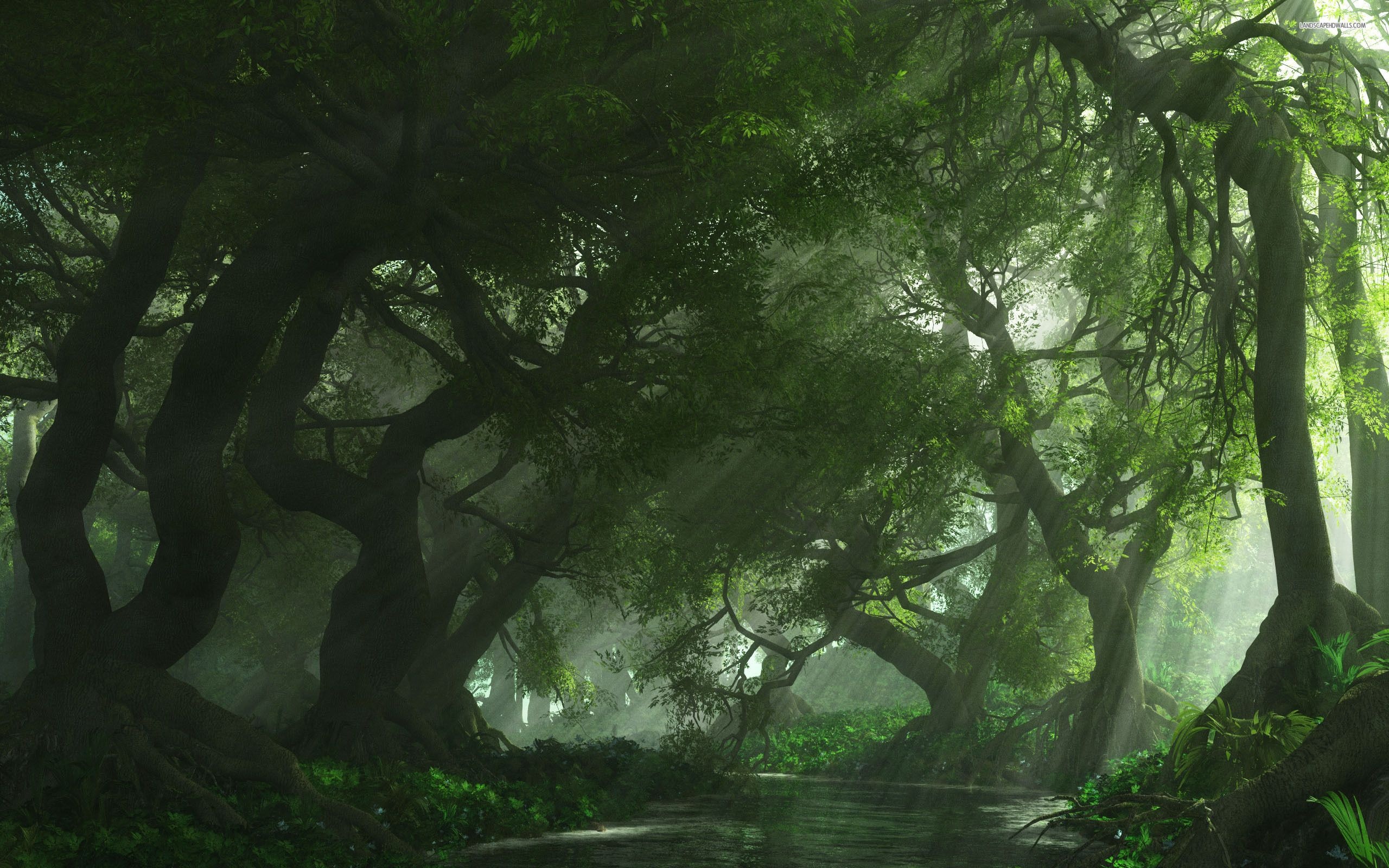 Fangorn, Movies, Tree, Wallpapers, 2560x1600 HD Desktop