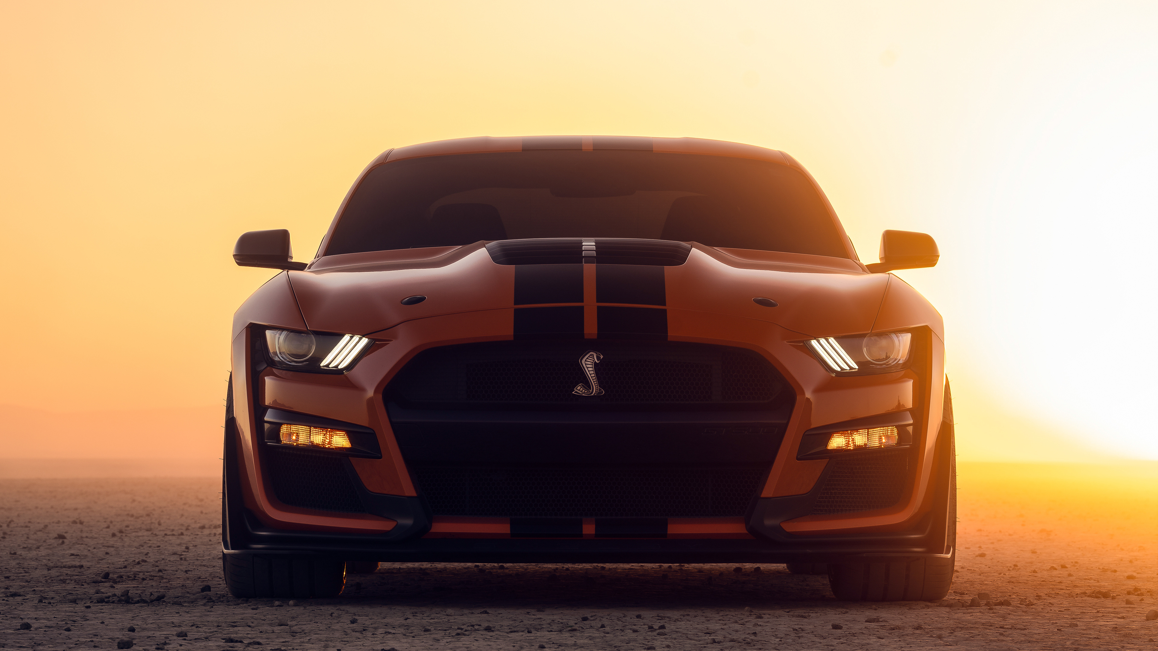 Shelby, GT500 Wallpaper, 3840x2160 4K Desktop