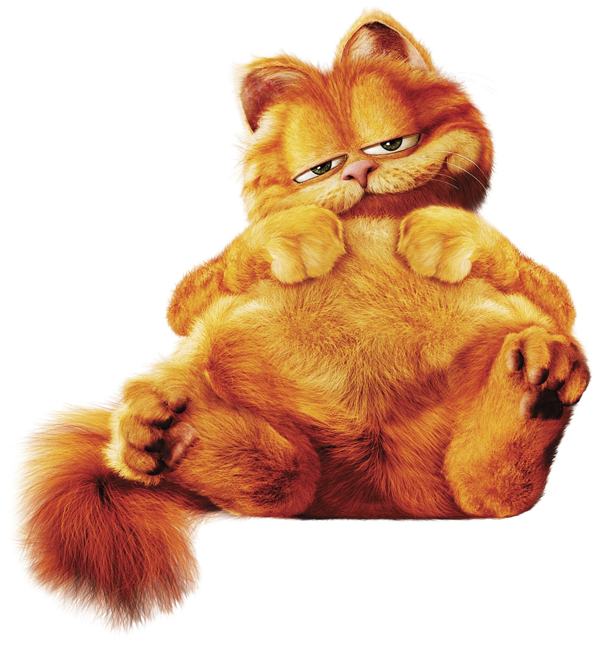 Garfield, Garfield ideas, Whimsical cat, Playful wallpaper, 2000x2180 HD Phone