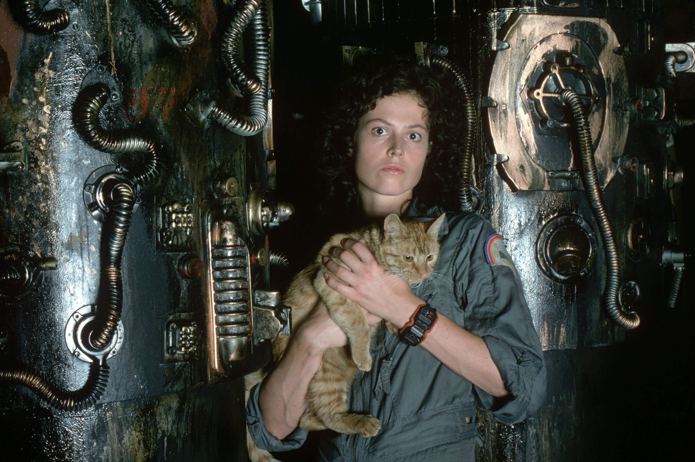 Sigourney Weaver, Movies, Ellen Ripley, Wallpaper, 2370x1580 HD Desktop