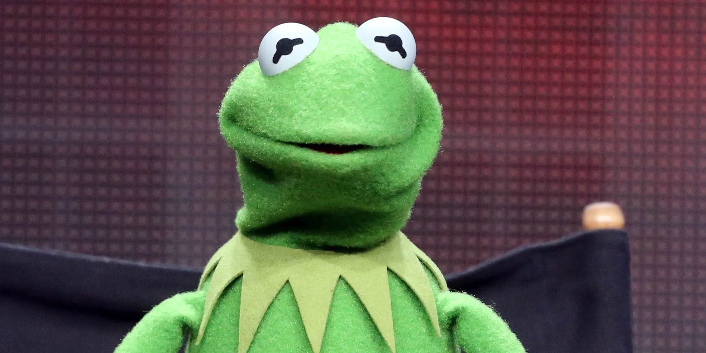 Kermit the Frog, New girlfriend, Frog's new relationship, 2430x1220 Dual Screen Desktop