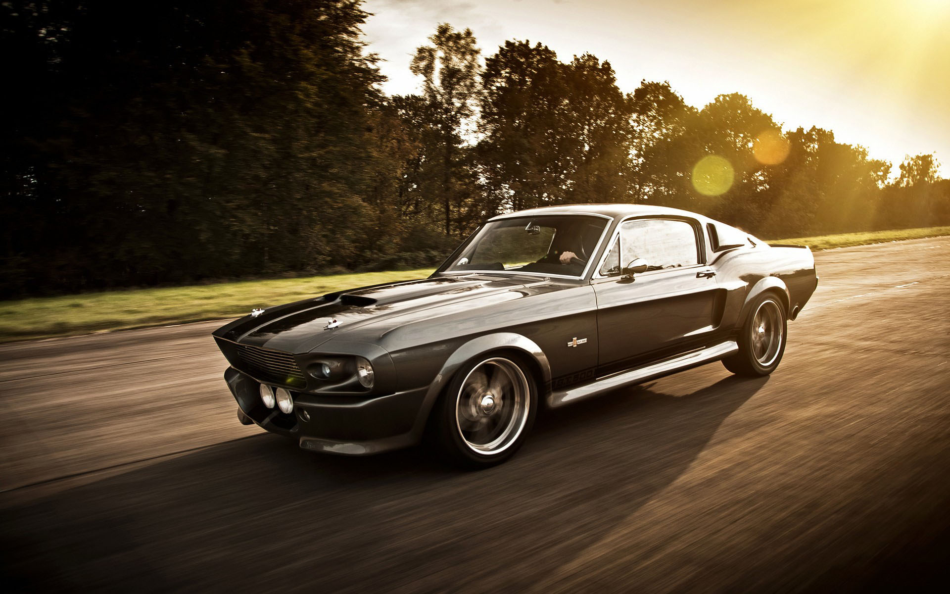 GT500 Eleanor, Hollywood muscle, Custom-built allure, Revered design, High-performance machine, 1920x1200 HD Desktop