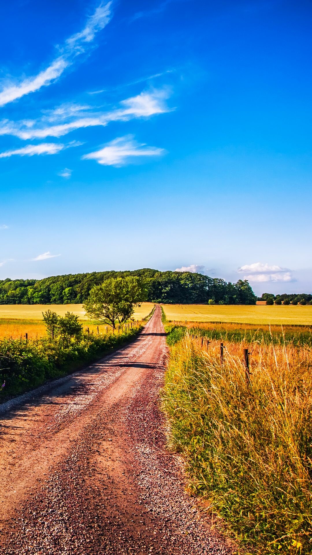 Summer landscape marvel, Ultra HD wallpaper, Cool landscapes, Captivating nature, 1080x1930 HD Phone