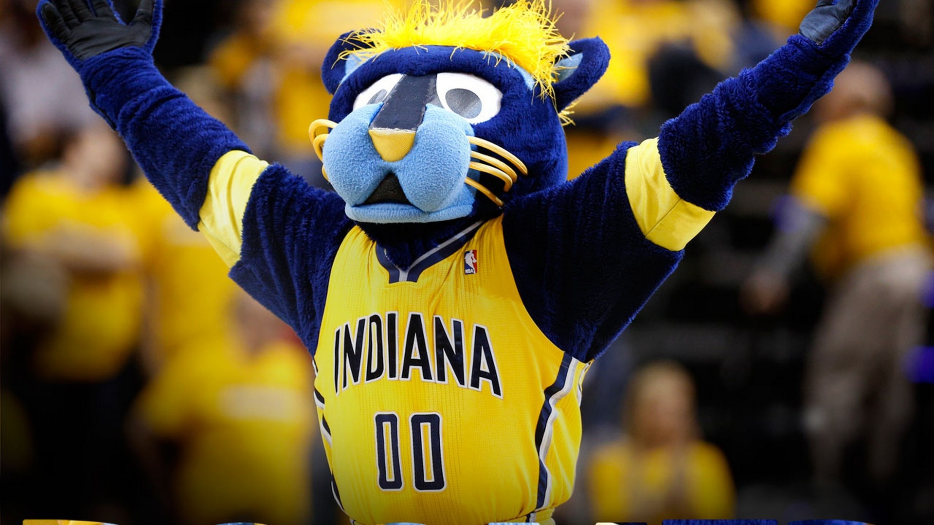 Mascot, Indiana Pacers Wallpaper, 1920x1080 Full HD Desktop