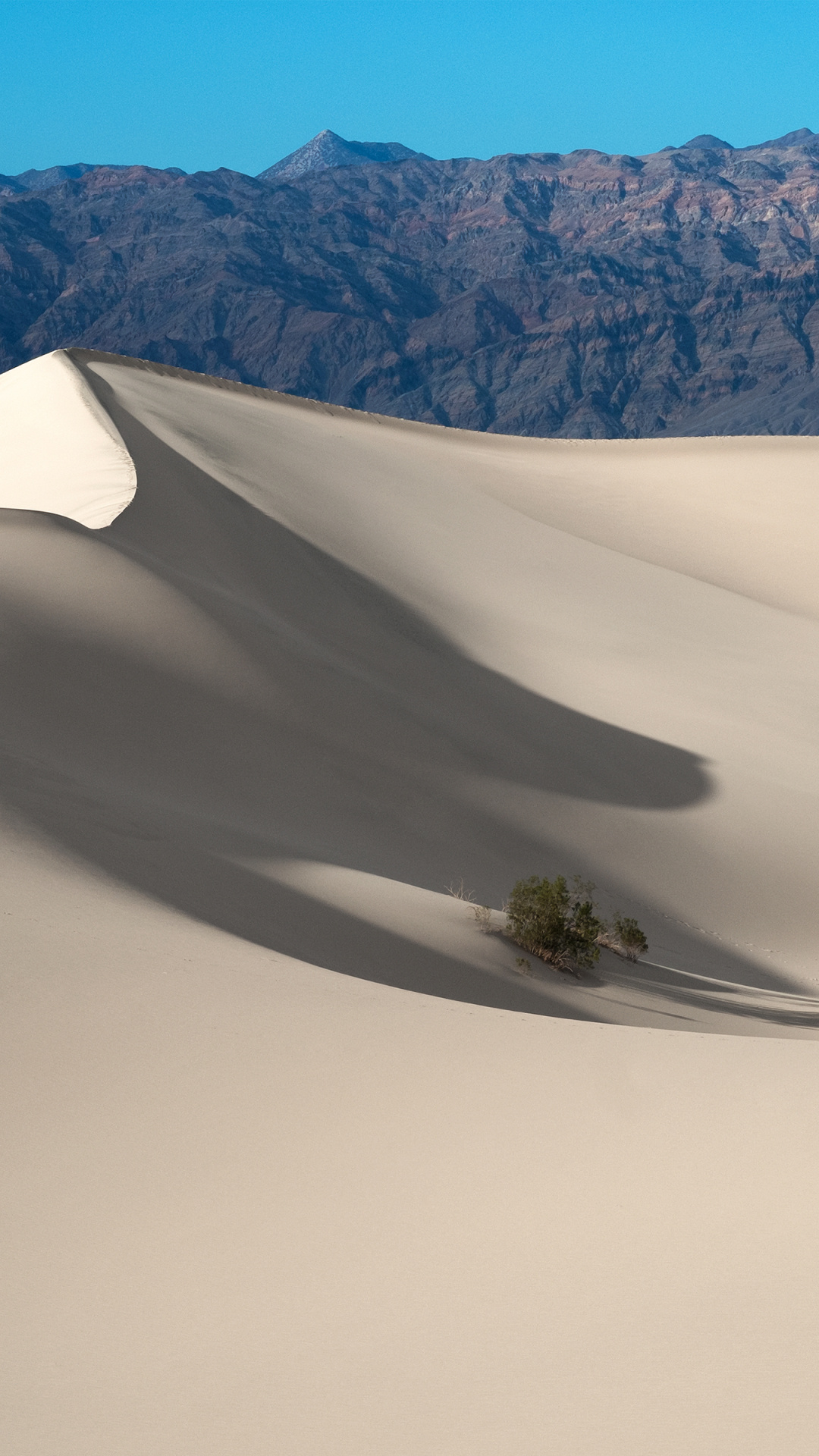 Sand Dunes, Death Valley National Park, 1080x1920 Full HD Phone