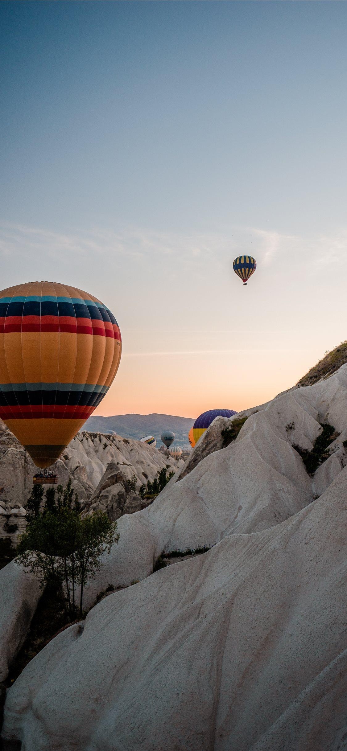 Balloon amidst nature, iPhone XS Max wallpapers, Serene heights, Sky wonder, 1130x2440 HD Phone