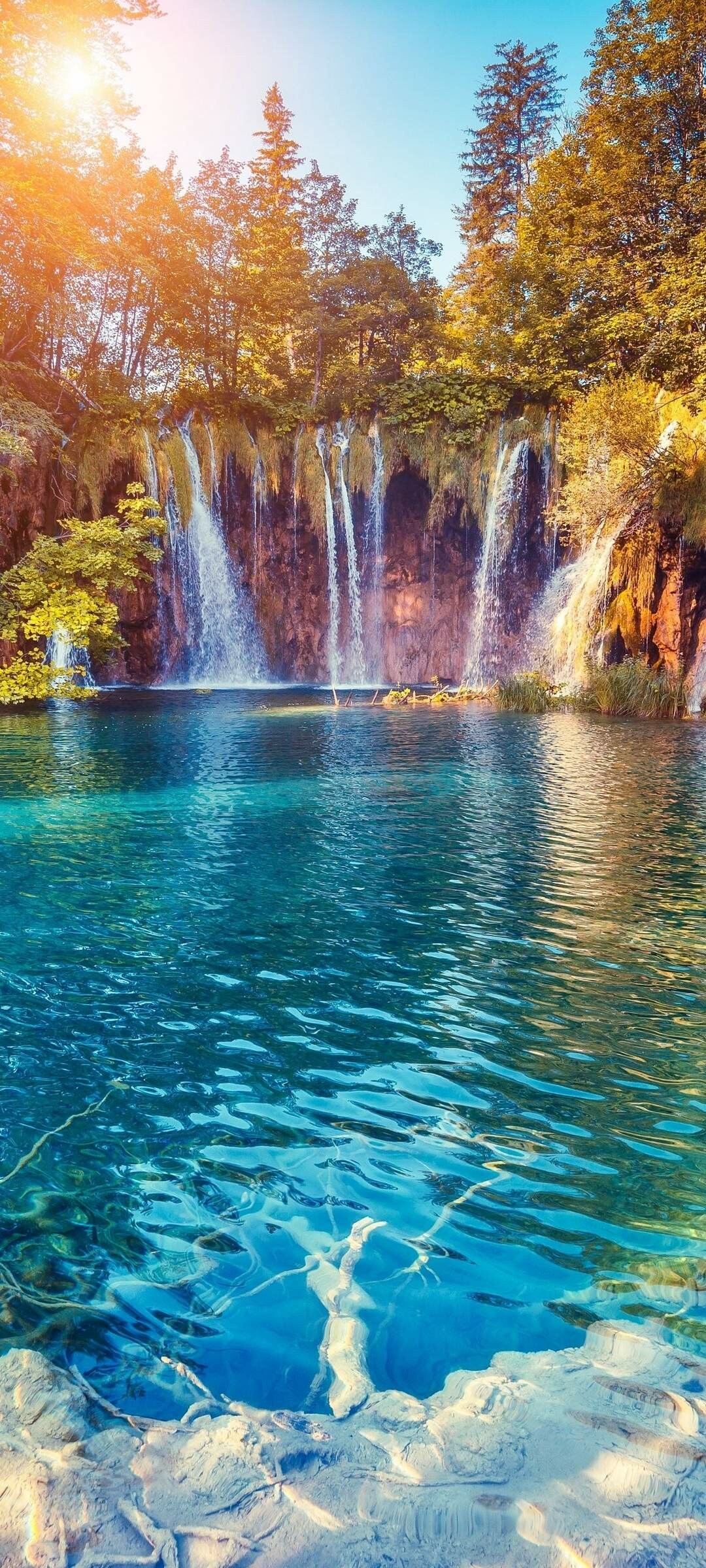 Enchanting waterfall trees, Beautiful wallpapers, Serene nature, Peaceful ambiance, 1080x2400 HD Phone