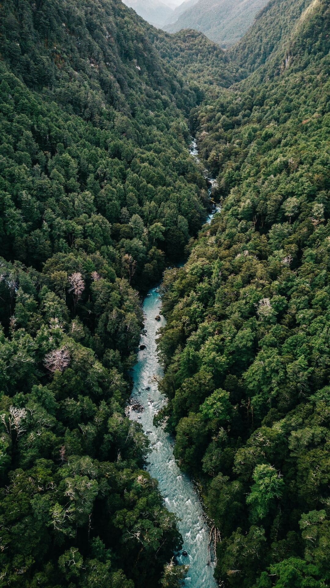 Aerial view, Jungles Wallpaper, 1080x1920 Full HD Phone