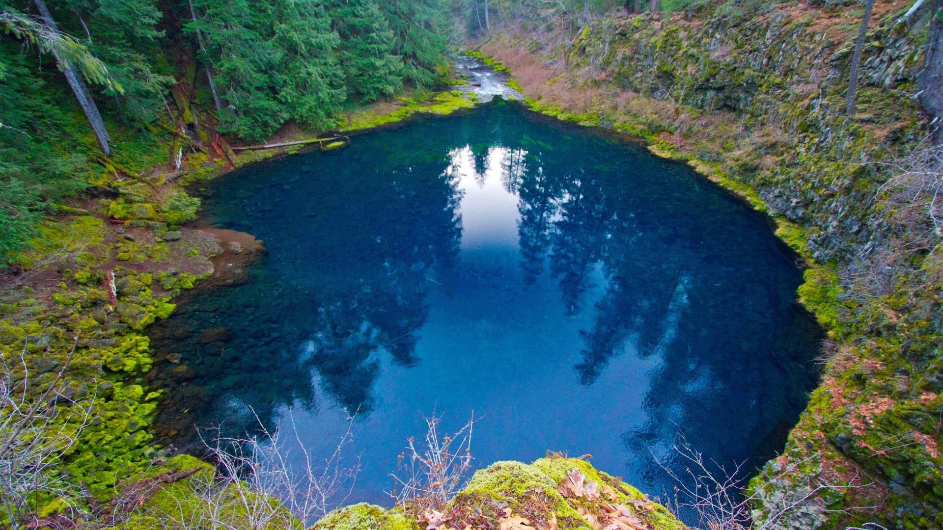 Grants getaways, Tamolitch the Blue Pool, Oregon USA, Travels, 1920x1080 Full HD Desktop