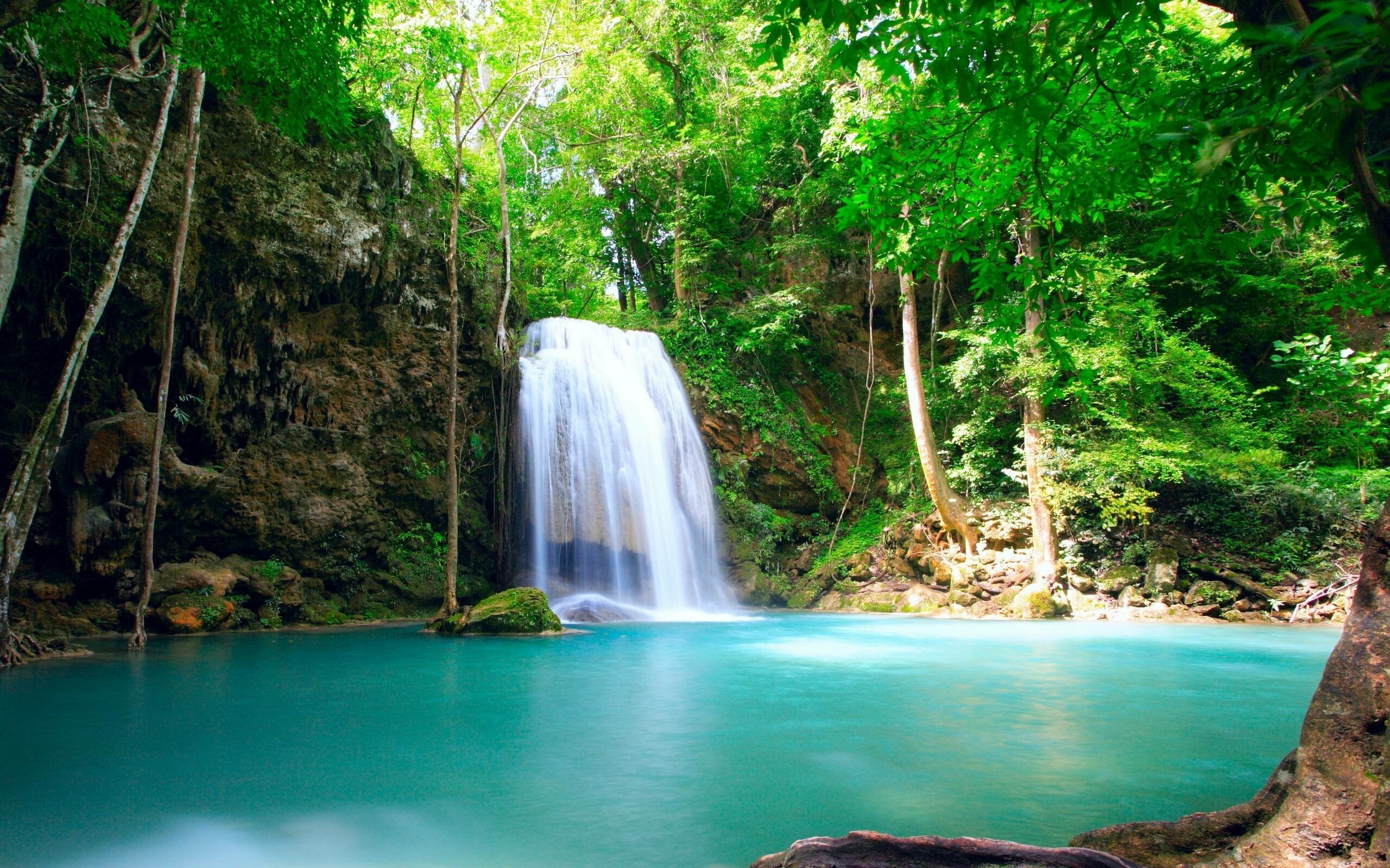 Tropical jungle gem, High-definition wallpaper, Nature's paradise, Lush landscape, 2560x1600 HD Desktop