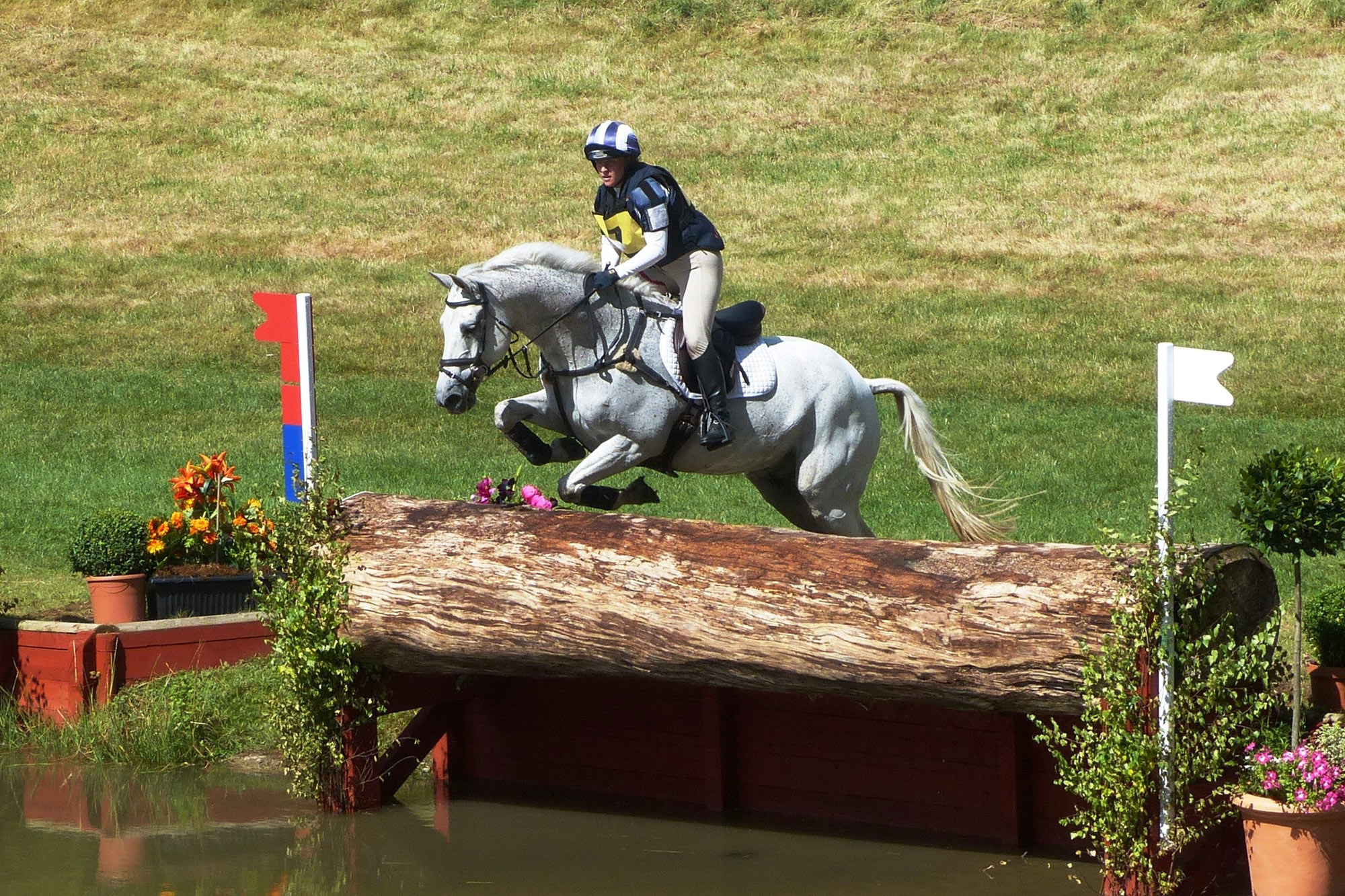 3-day eventing, Equine insurance, Kay Cassell, Equestrian sports, 2000x1340 HD Desktop