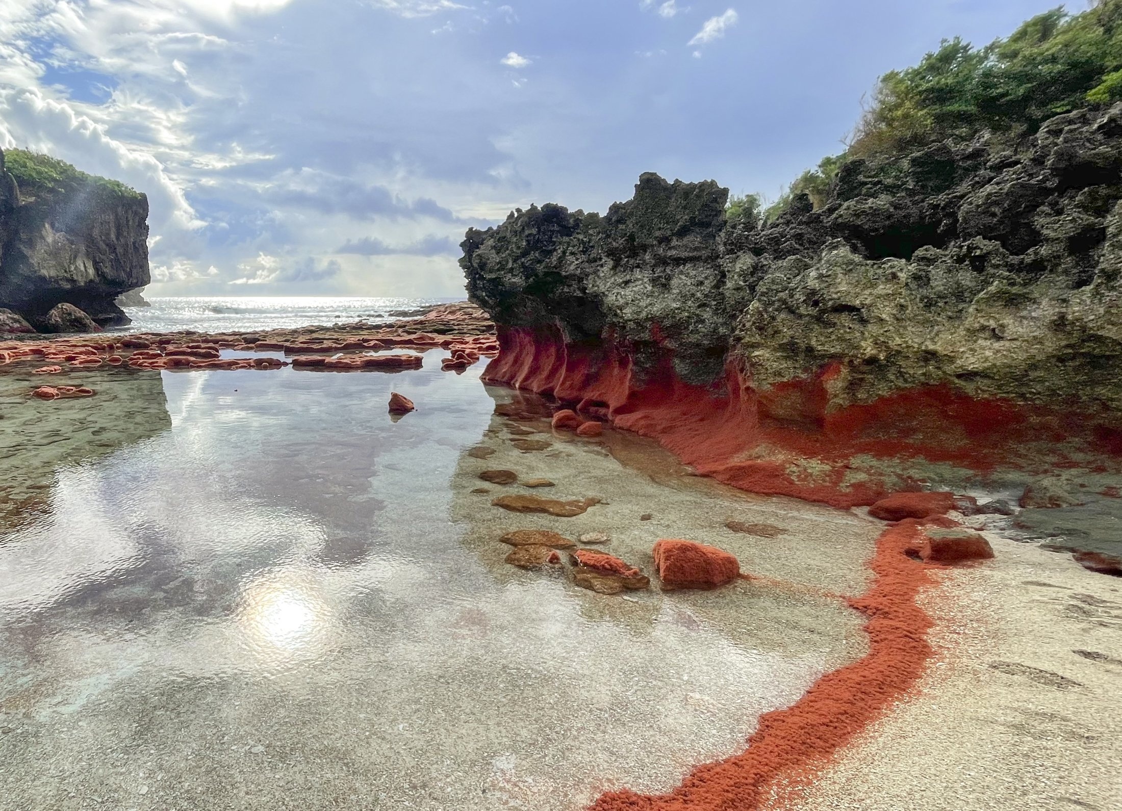 Pictures red crab baby, Christmas Island Australian Geographic, 2200x1600 HD Desktop