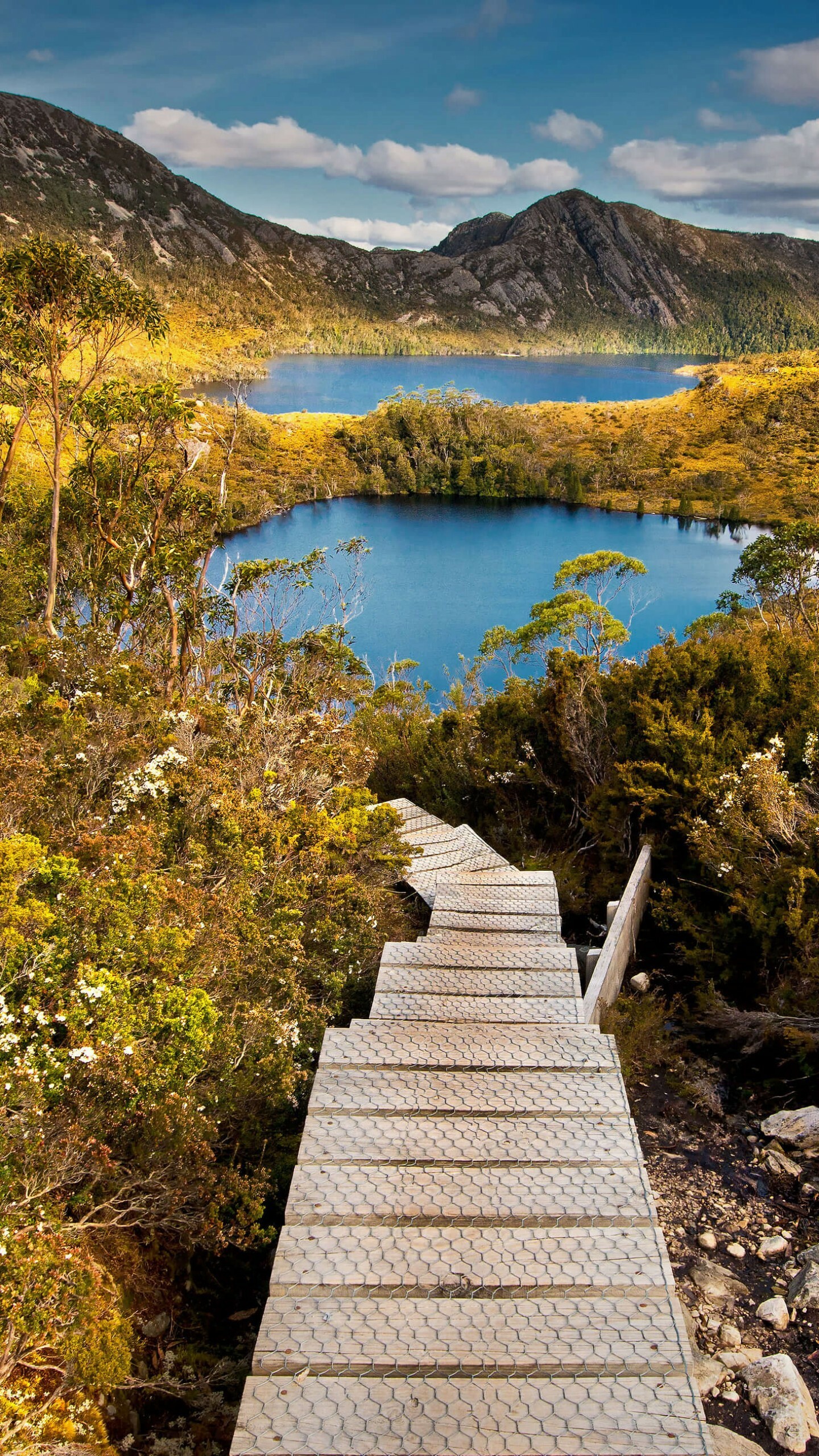 St. Clair National Park, Australia Wallpaper, 1440x2560 HD Phone