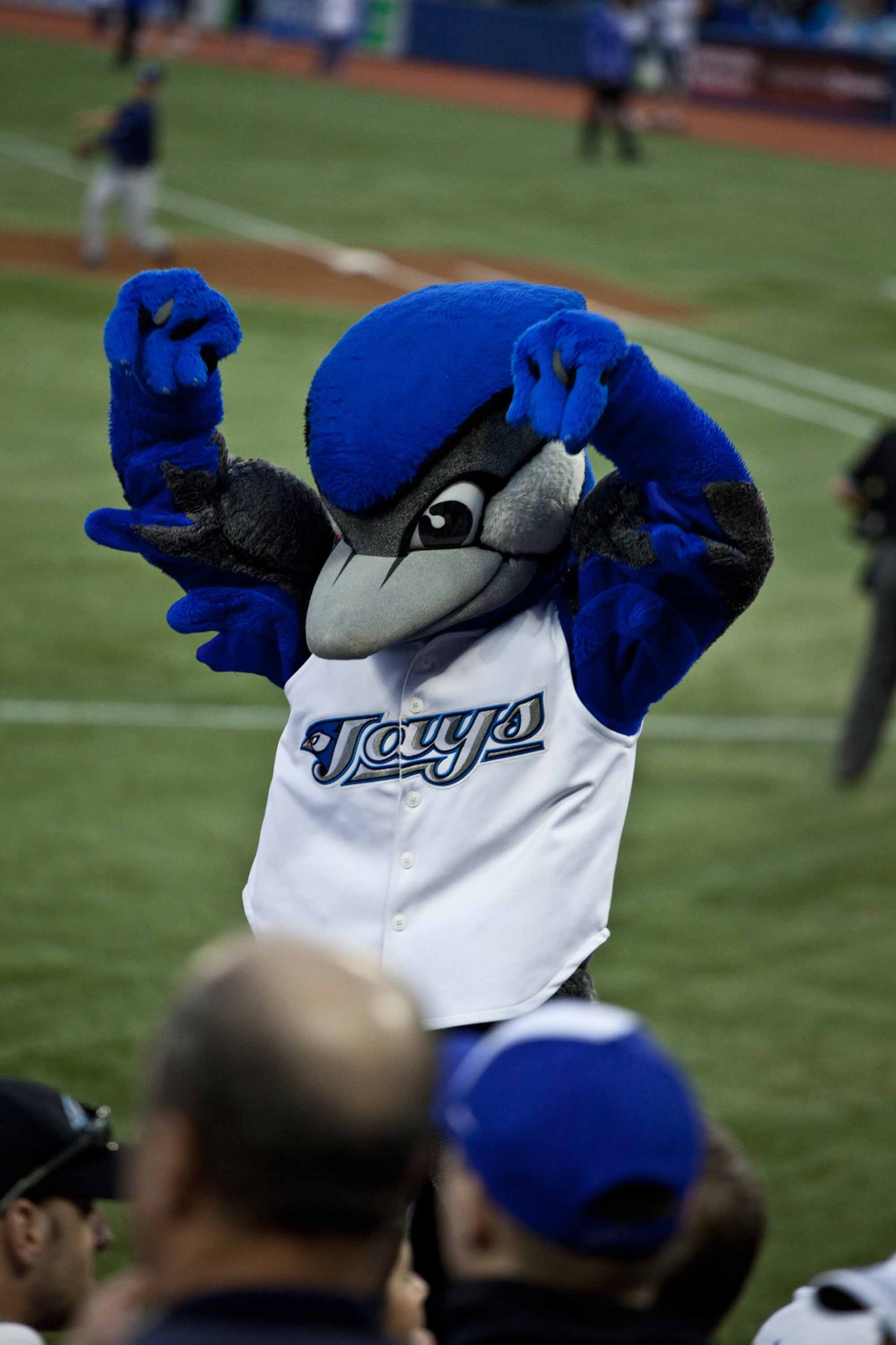 Mascot, Toronto Blue Jays Wallpaper, 2000x3010 HD Phone