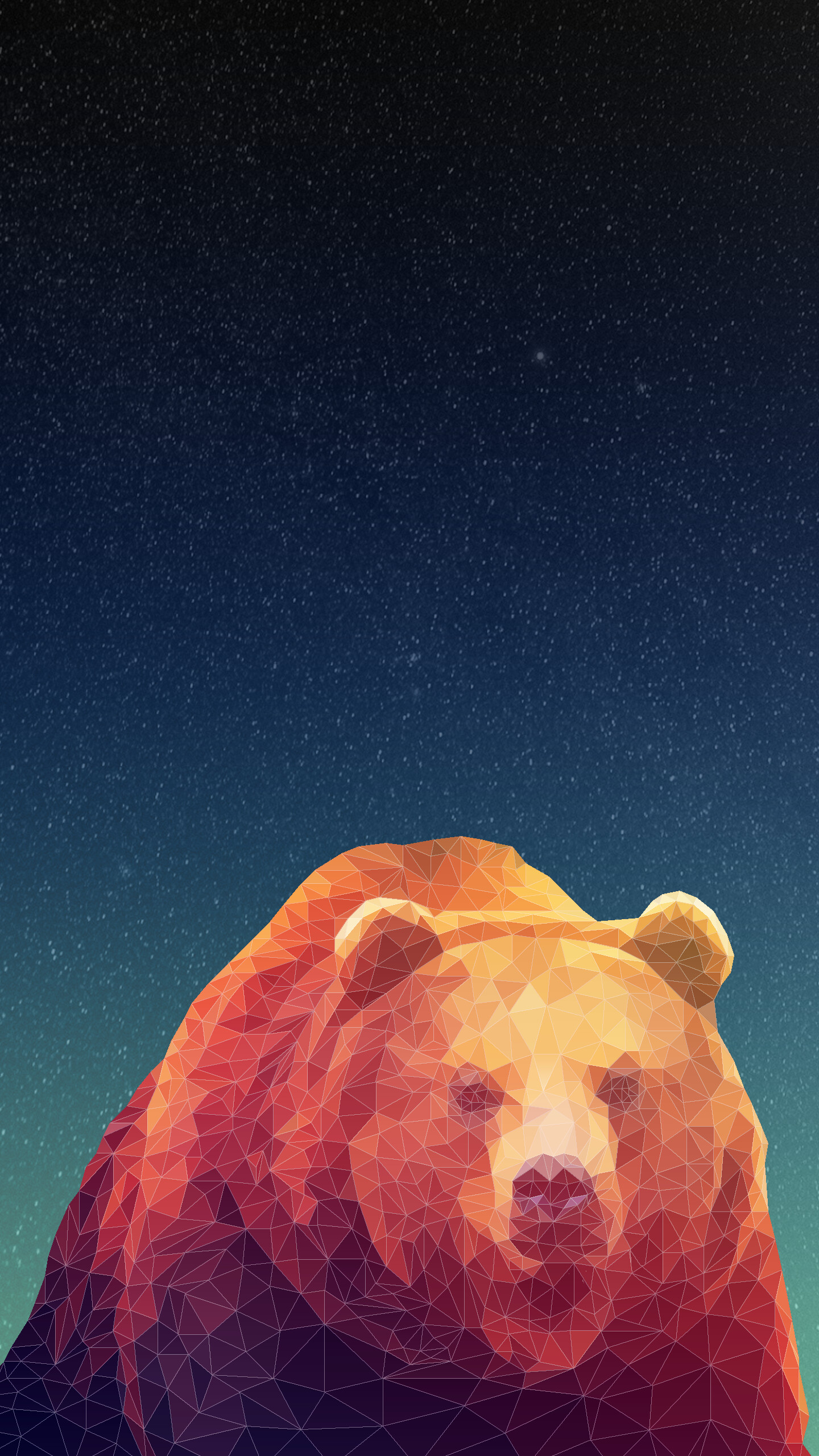 Angry bear wallpapers, Aggressive stance, Wild nature, Powerful presence, 1440x2560 HD Phone