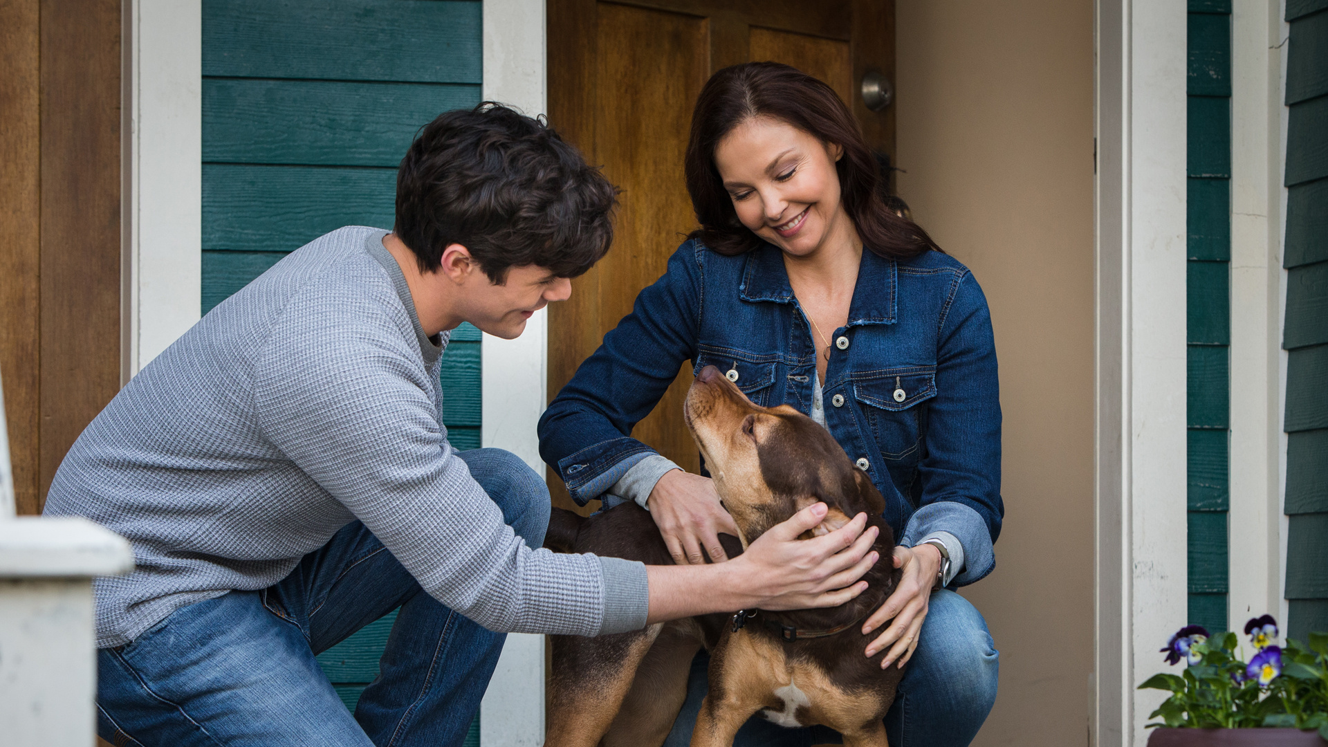 Terri and Lucas, A Dog's Way Home Wallpaper, 1920x1080 Full HD Desktop