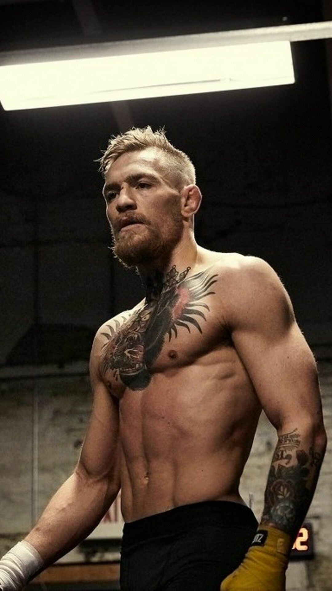 Conor McGregor, Fighter wallpapers, Striking poses, Action-packed shots, 1080x1920 Full HD Phone