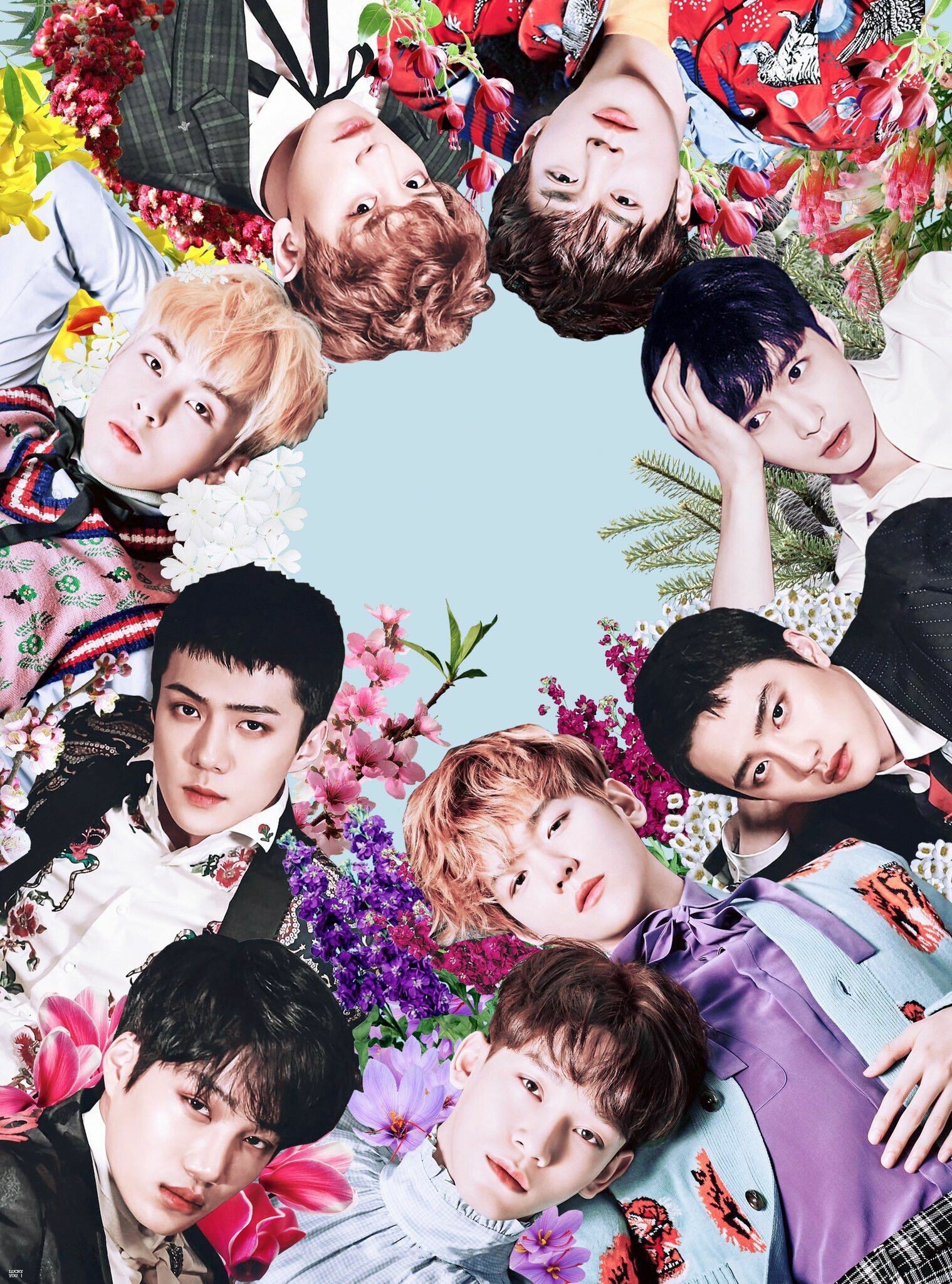 EXO (Music), 4K HD visuals, Captivating backgrounds, A treat for fans, 1520x2050 HD Phone